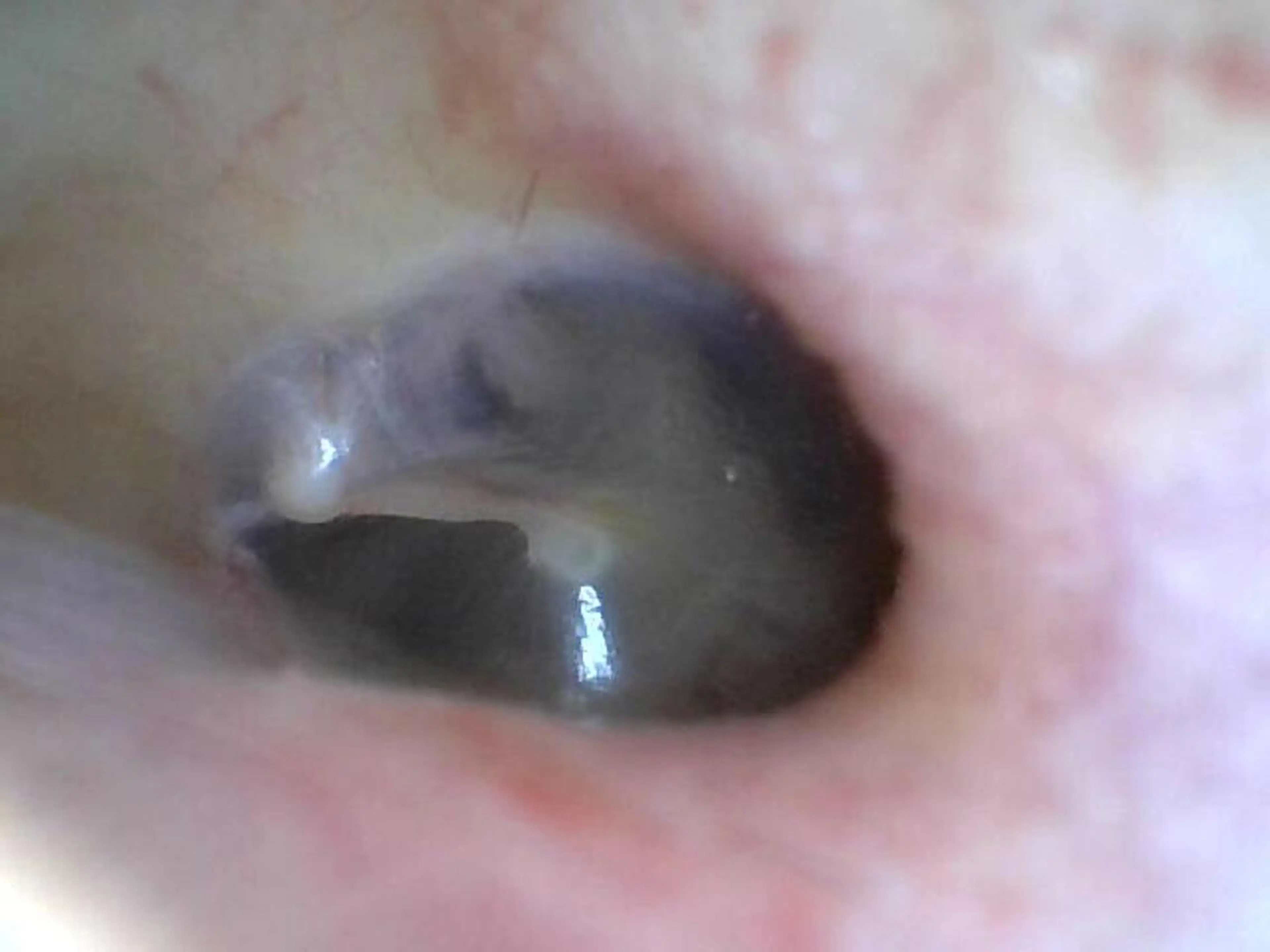 伊 藤のその他イメージ