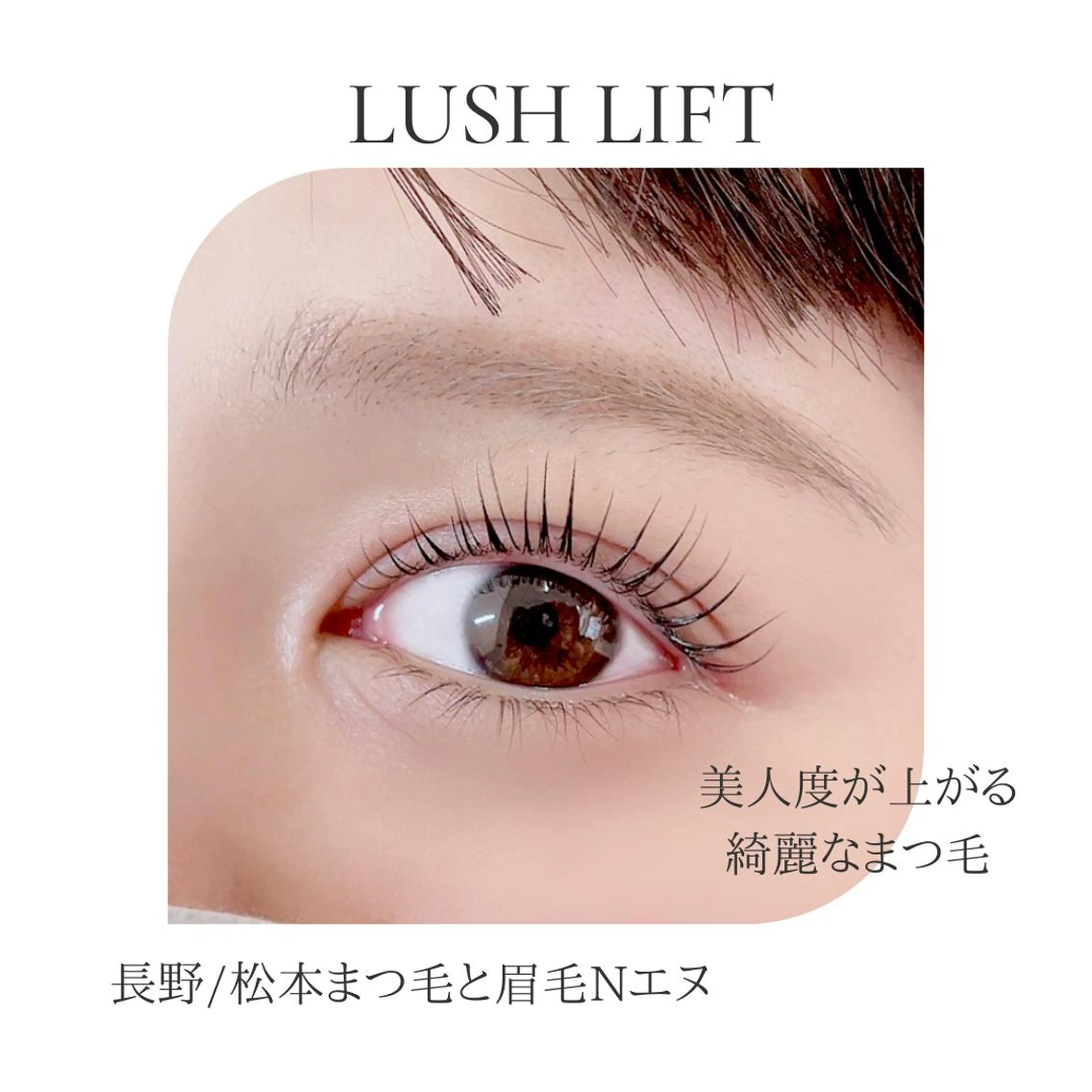 パリジェンヌラッシュリフト【初回限定価格】ご紹介でのご来店のお客様、上記価格より割引有の写真