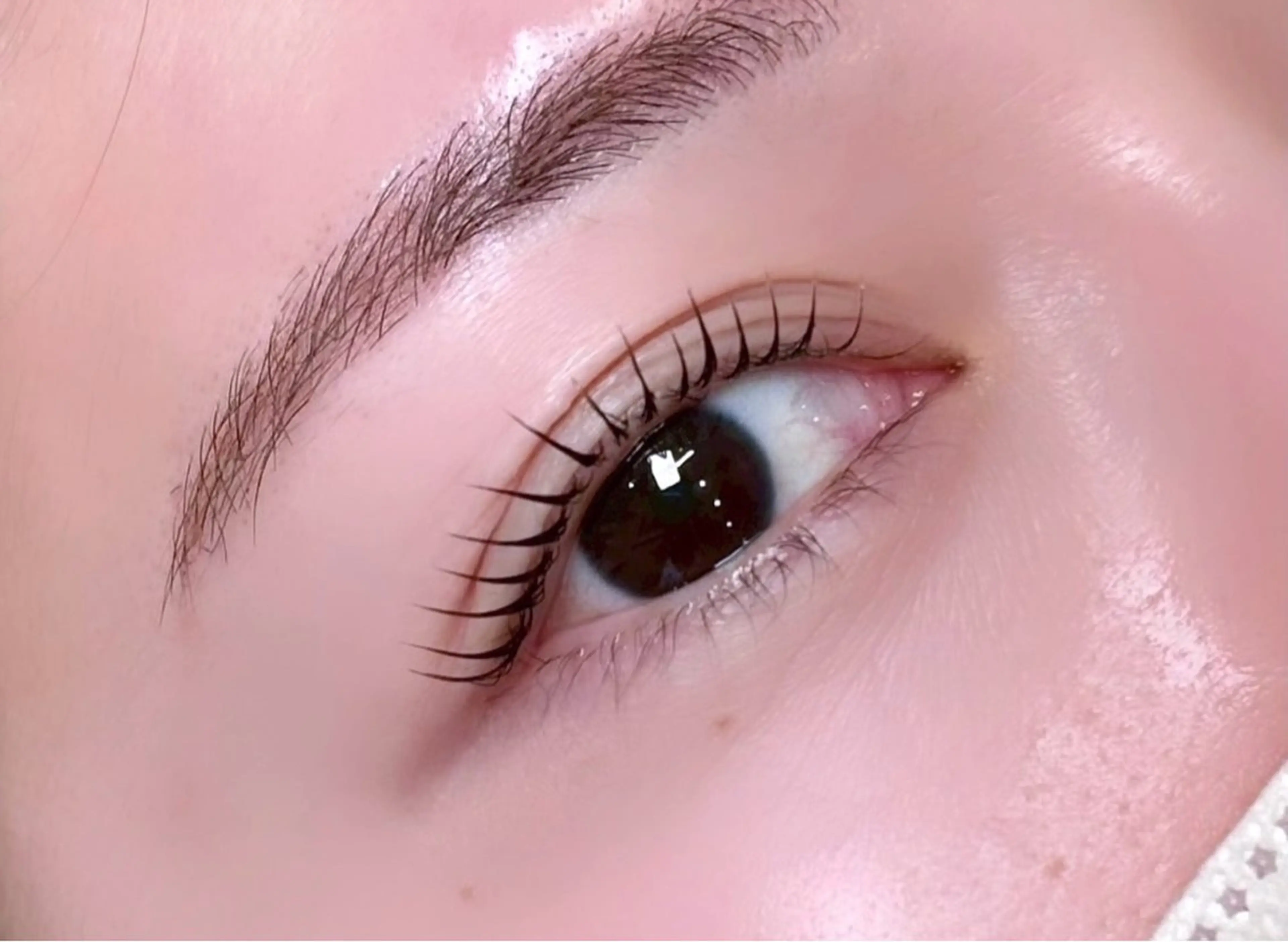 《4/20 10:00~》♡眉毛スタイリング＋上まつ毛パーマ♡の写真