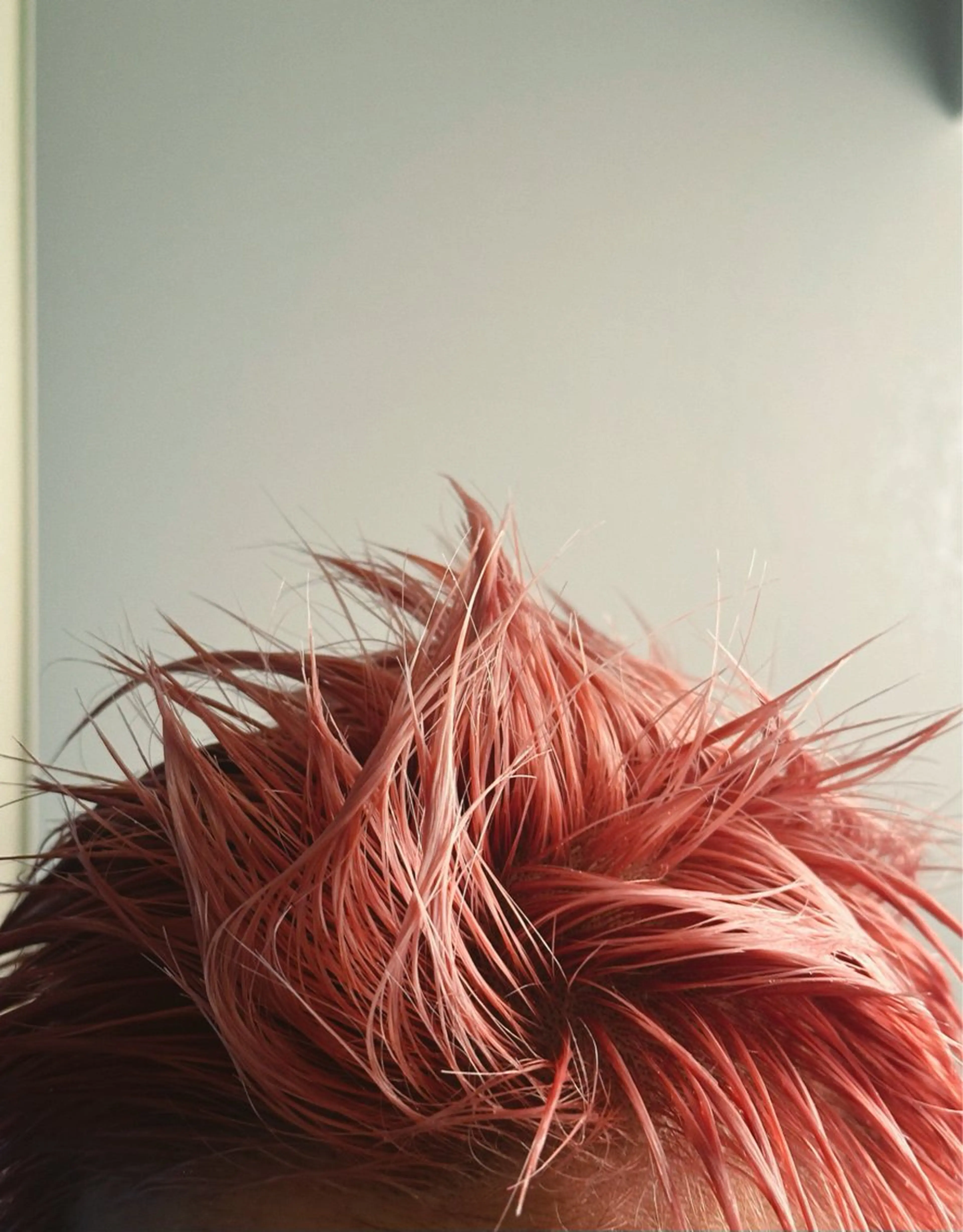 ショート カラー ピンクカラー カット ヘアカラー BURROW うえみ 寿々のヘアスタイル