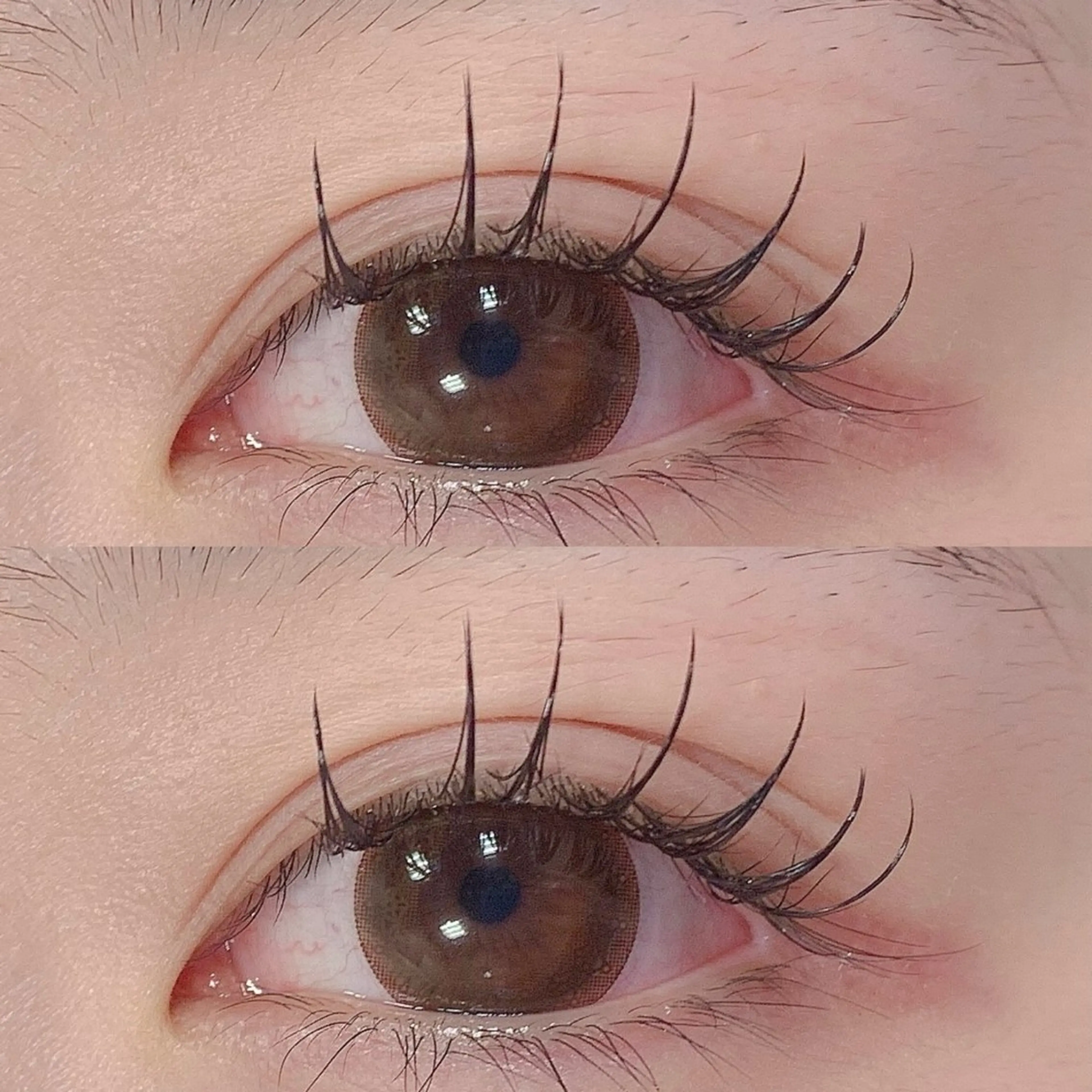 フラットラッシュ100本の写真