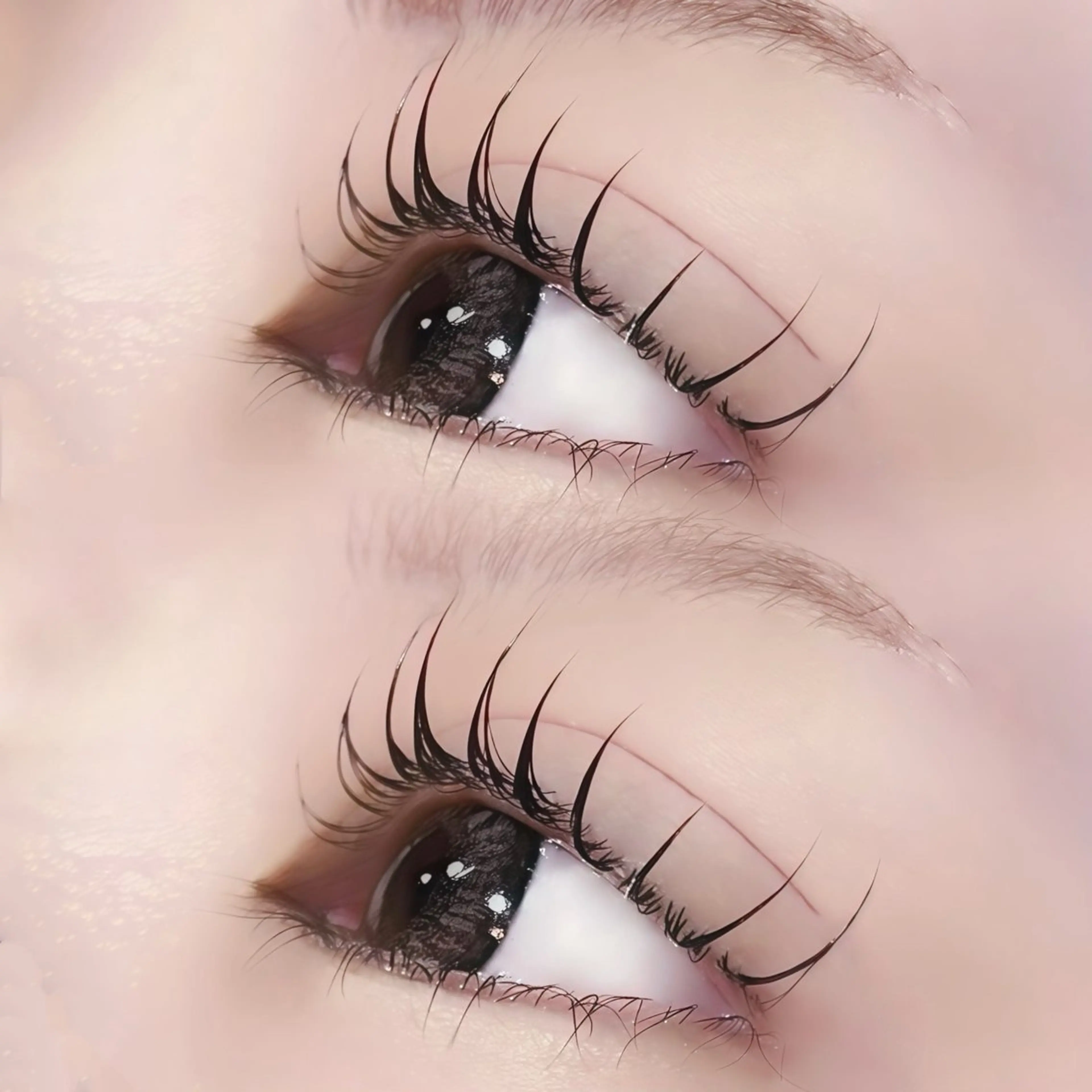 マツエク・マツパ 束感まつ毛 韓国風マツエク .HAL はなのマツエク・マツパデザイン