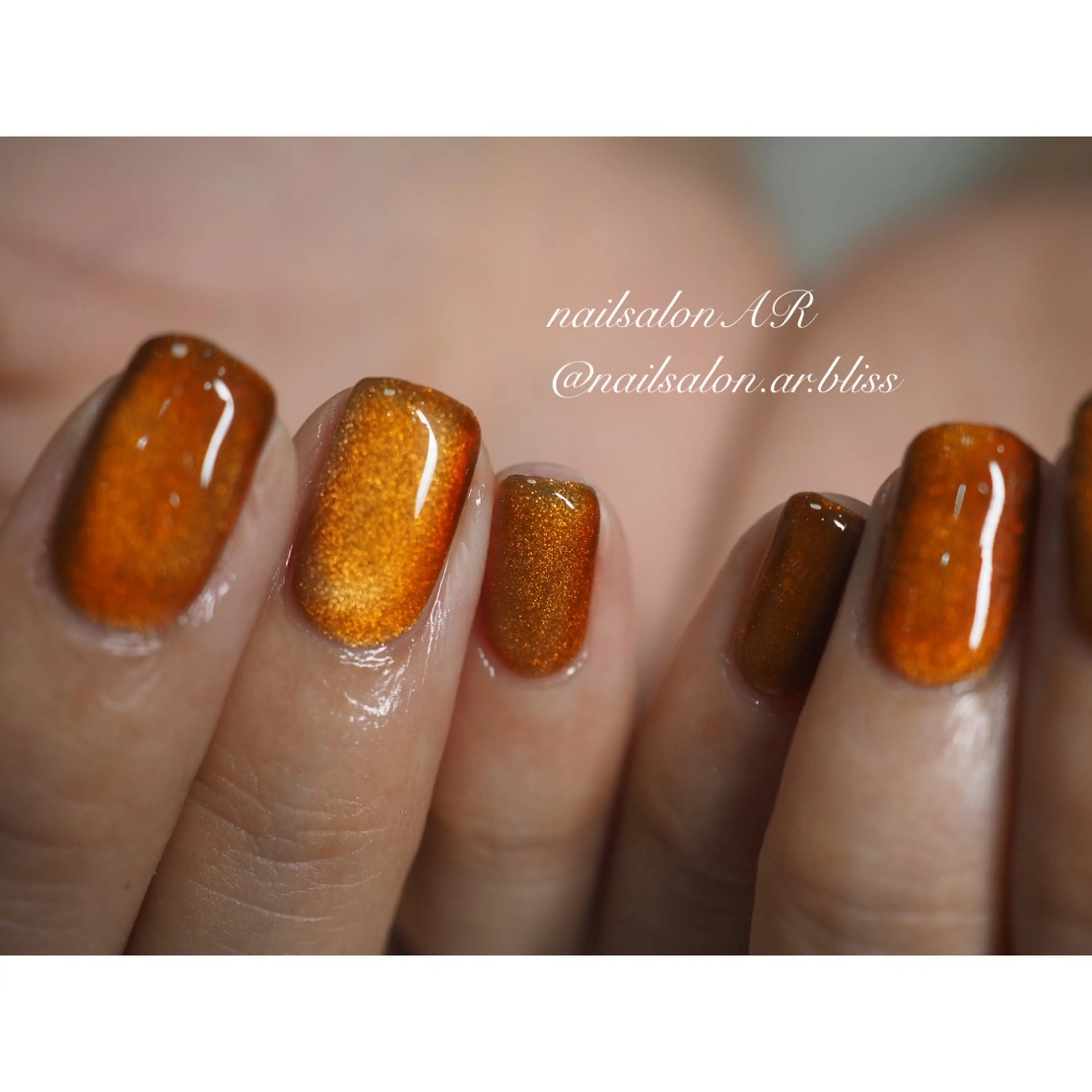 マグネットカラー（オフなし）の写真