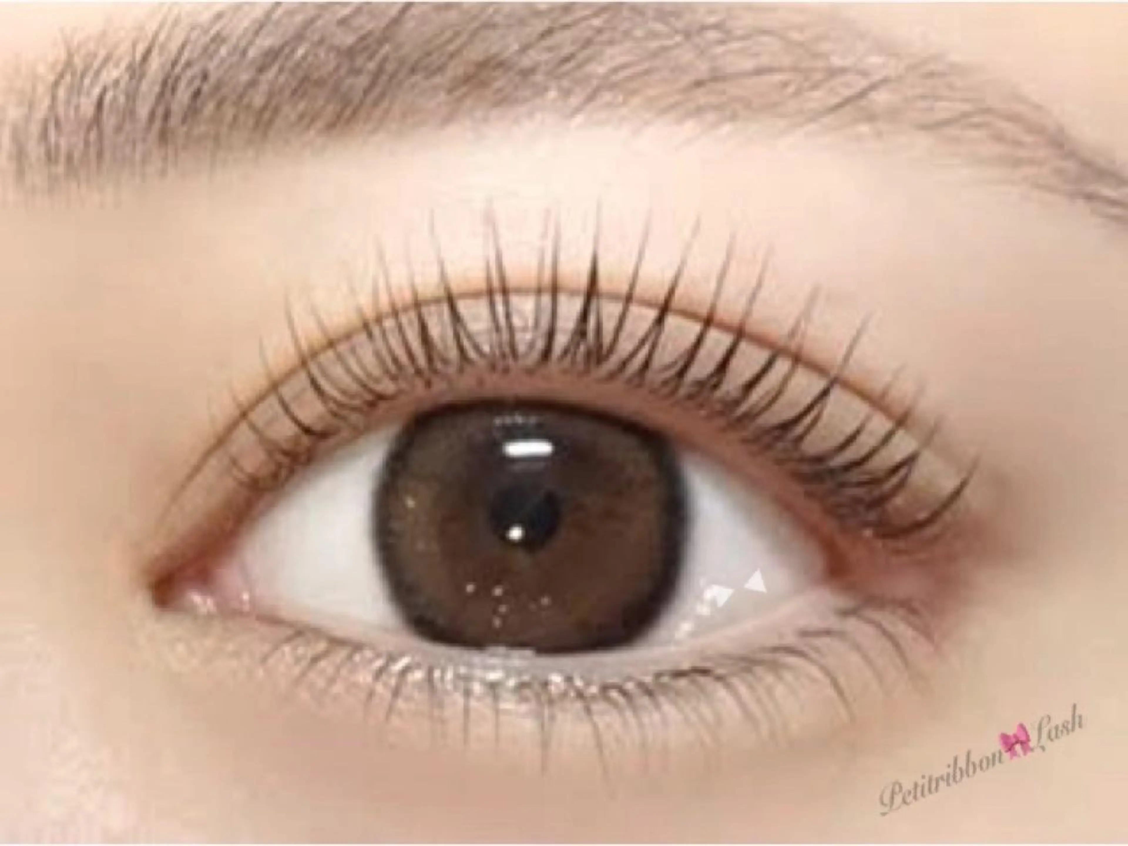 マツエク・マツパ パリジェンヌラッシュリフト プティリボン🎀 武蔵小金井店のマツエク・マツパデザイン