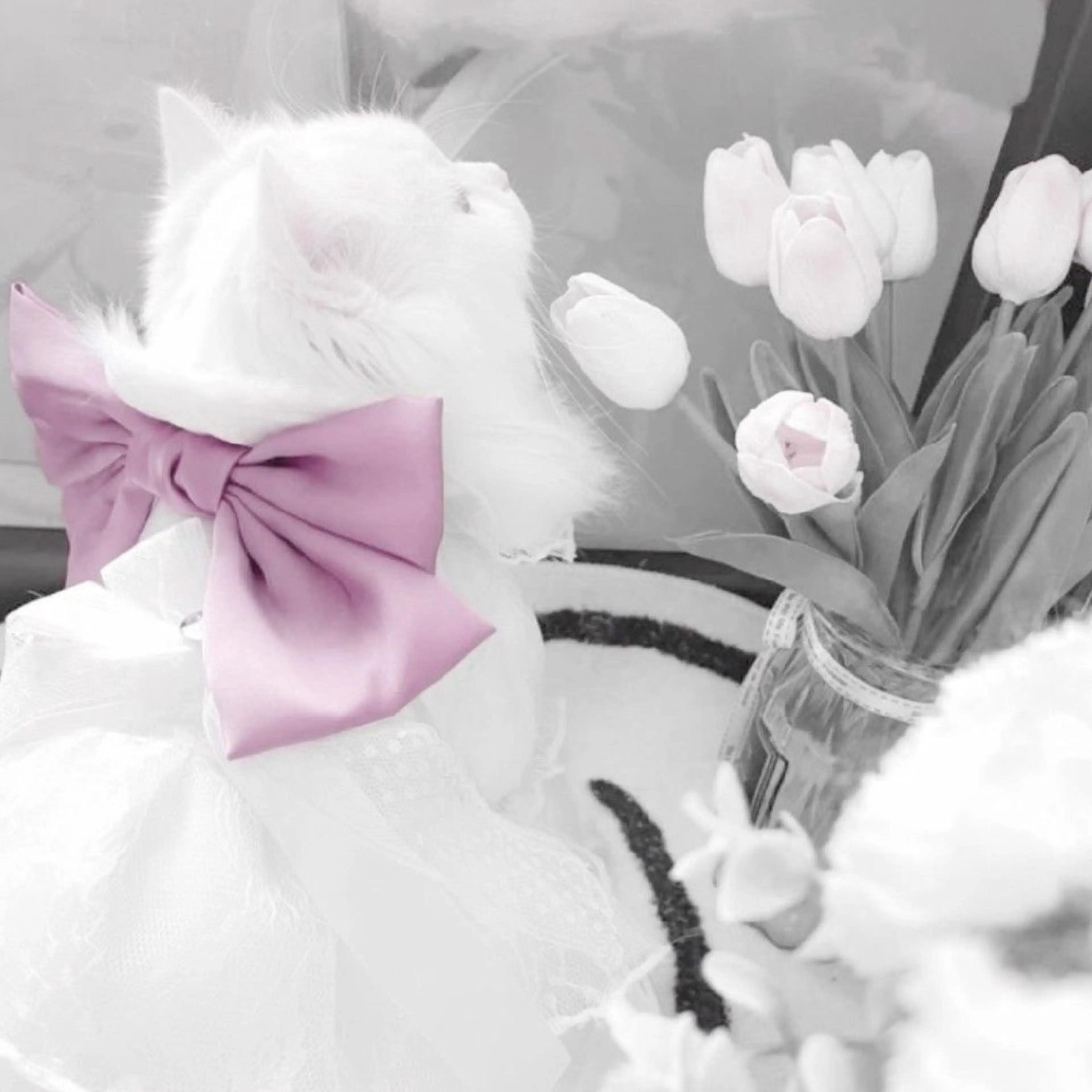 【バスト専門店 】 Kiana のエステ・リラクイメージ