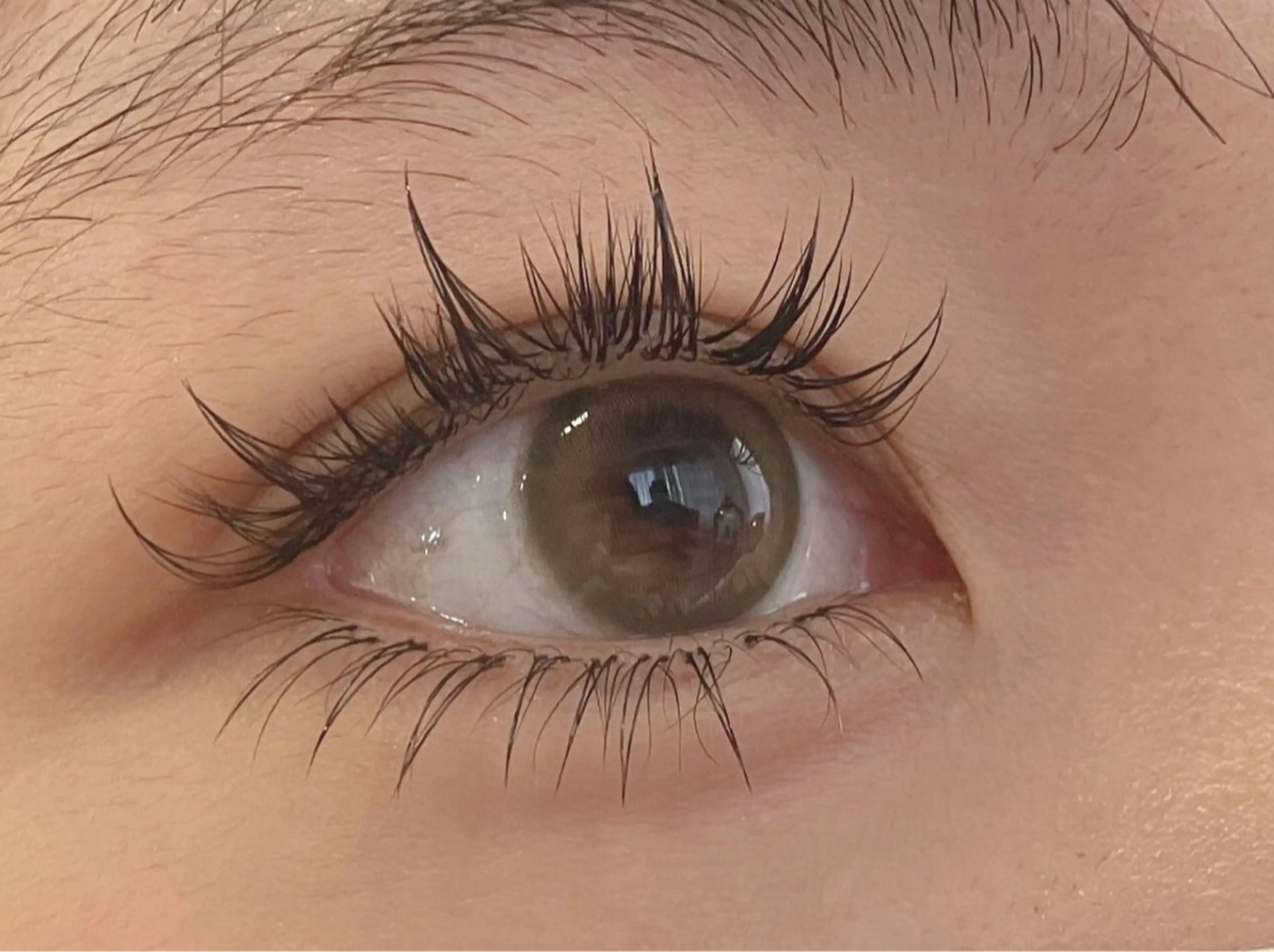 ワンホンデザイン400本まで付け放題(上まつ毛のみ)オフ別途の写真