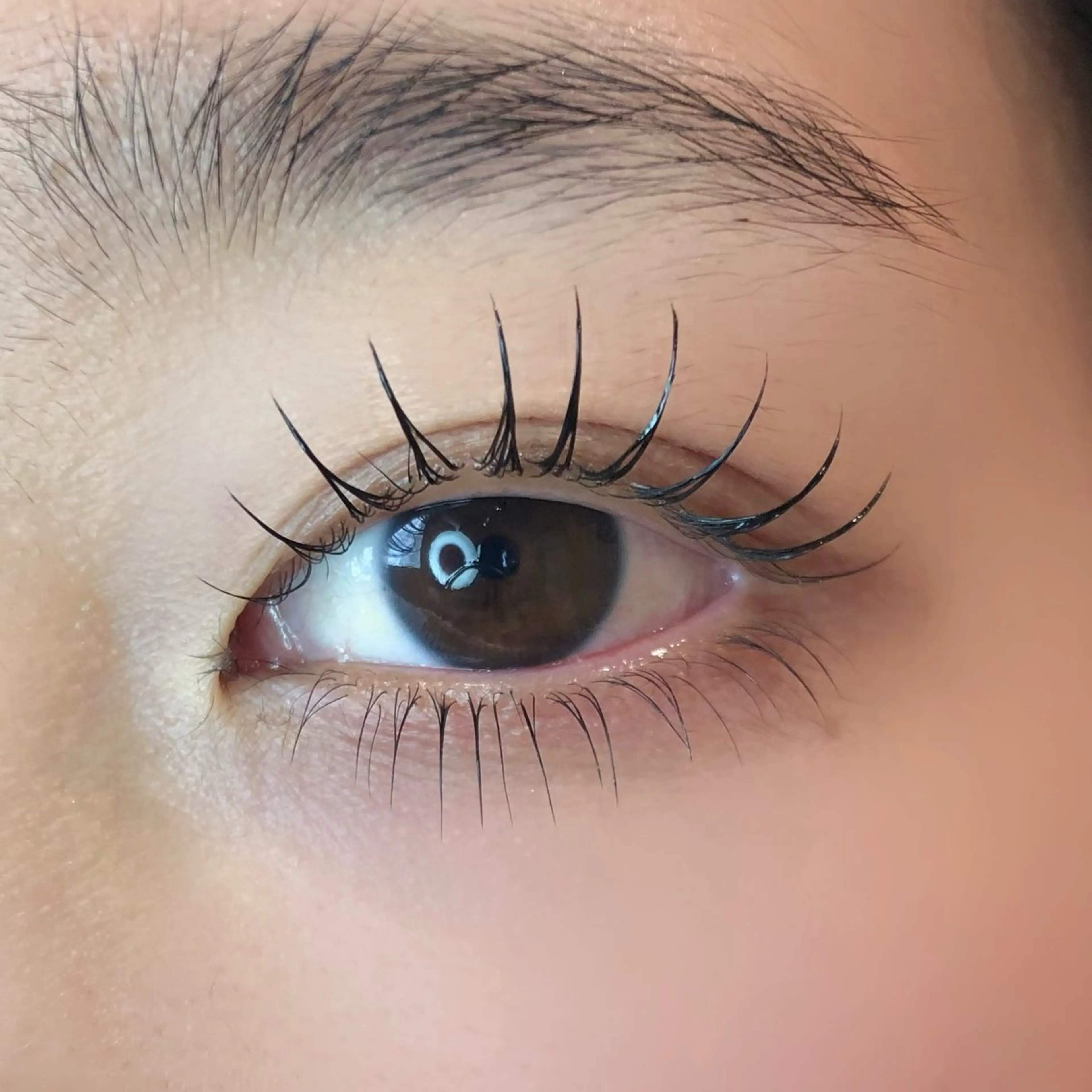 【当日限定】パリジェンヌラッシュリフトorラッシュリフトの写真