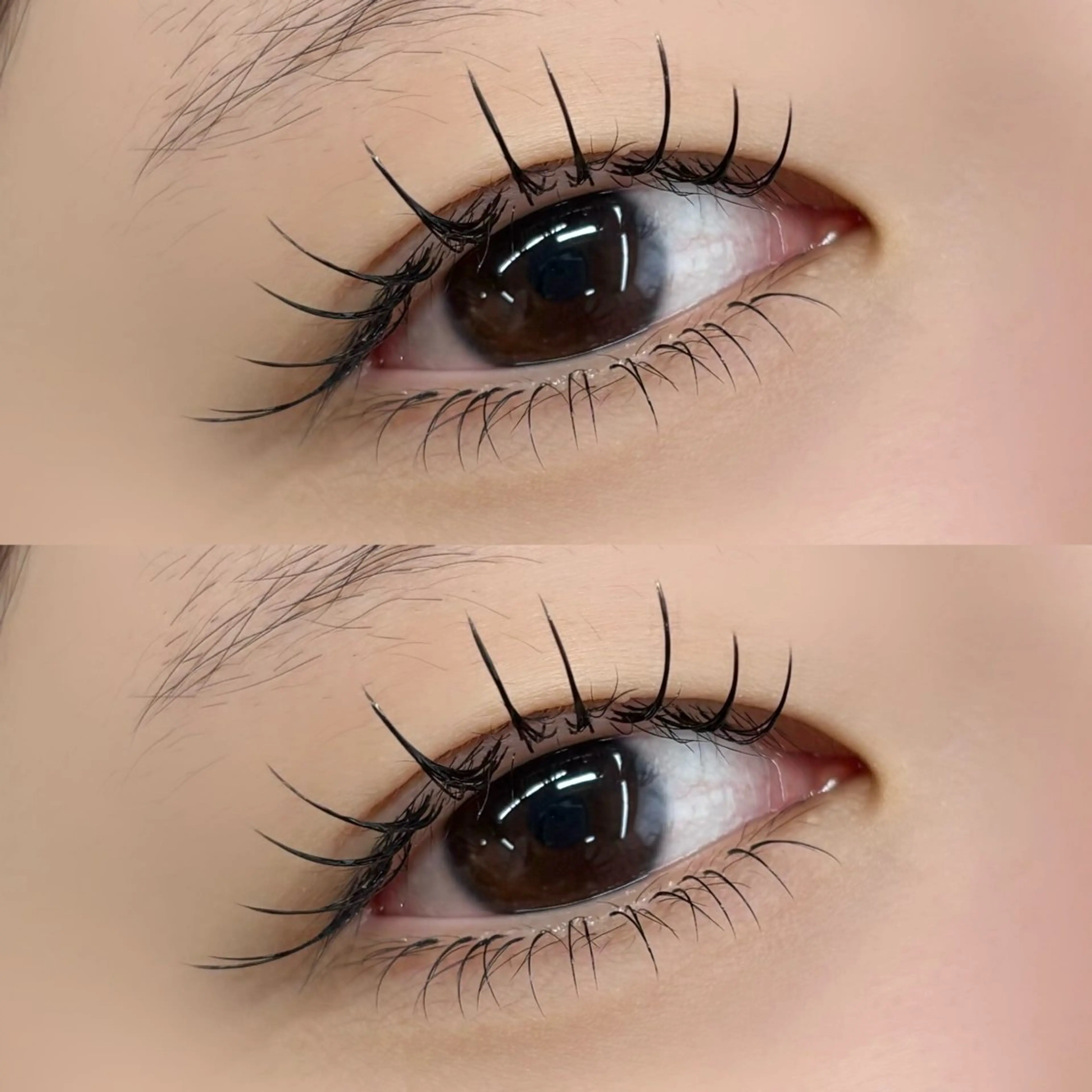 《上下エクステ》LEDフラットラッシュ100本+下まつげ30本✨¥9000の写真