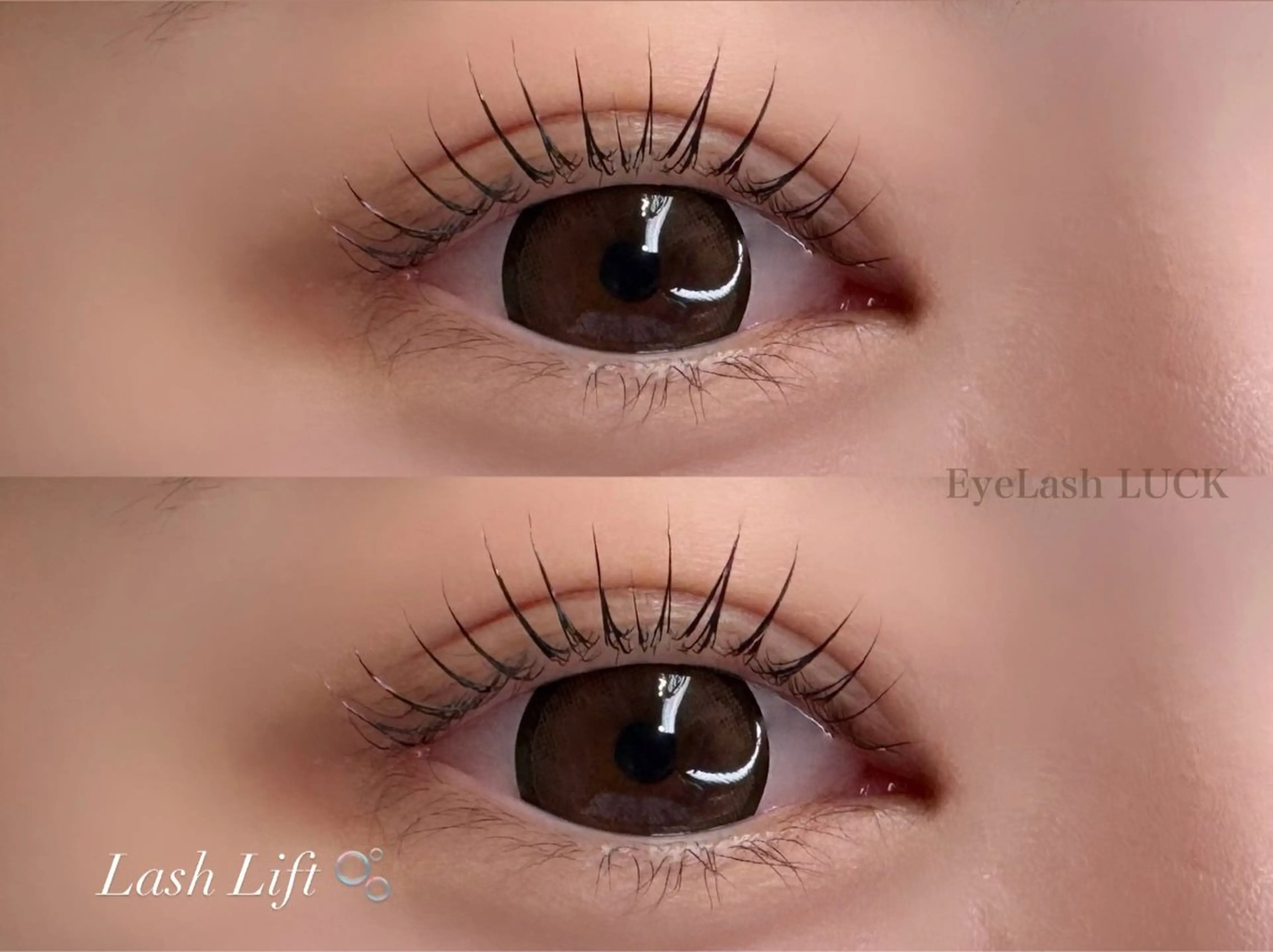 《minimo限定価格◎》ラッシュリフト+コーティング仕上げ付き【平日限定】の写真