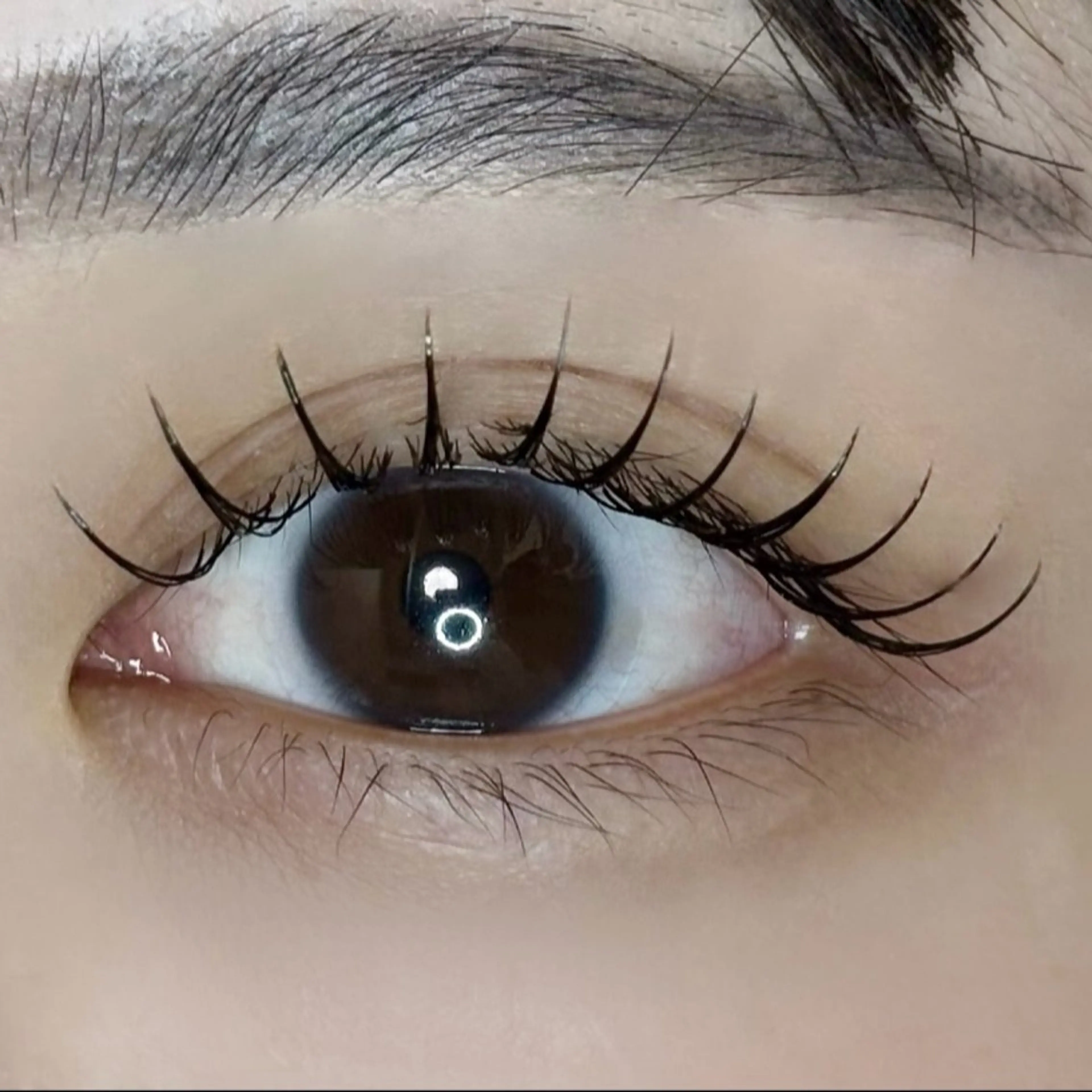 *̣̩⋆̩*🏹フラットラッシュ/まつエク《80本》🏹*̣̩⋆̩*コーティング付き(オフ+¥770)の写真