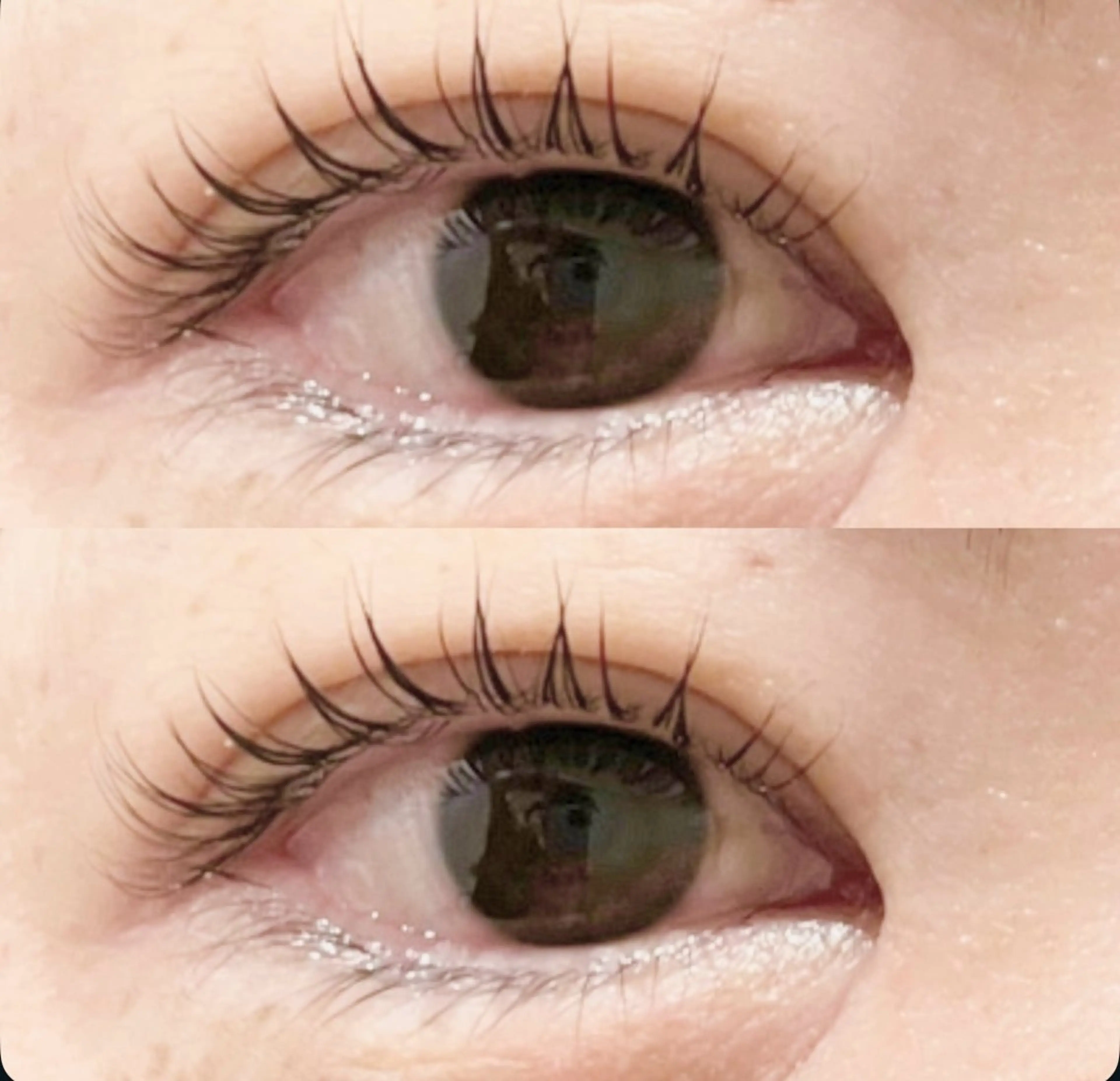 新メニュー考案中トライアルマツパメニュー！！の写真