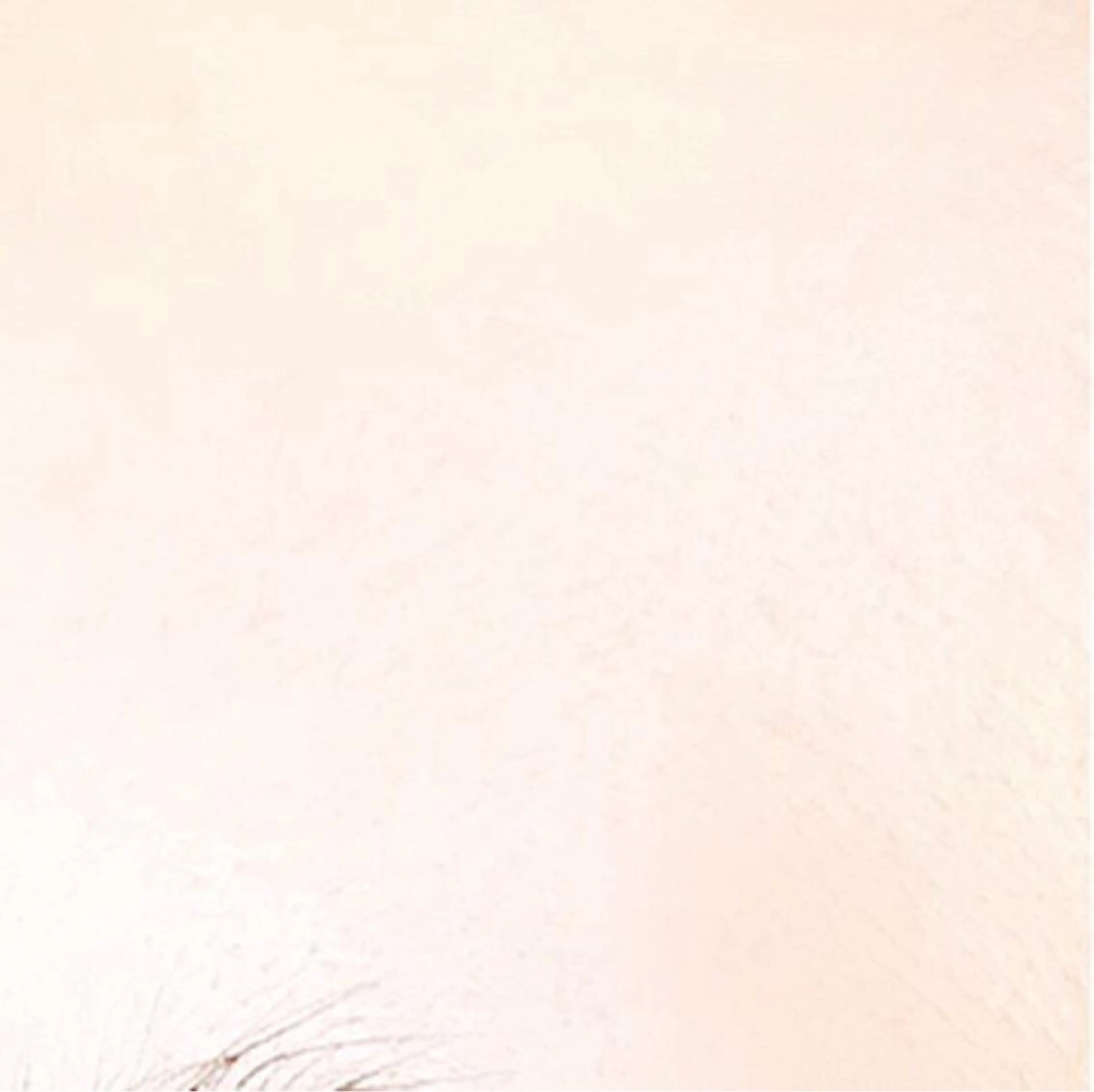 マツエク・マツパ eyelash- r🌹の眉毛・アイブロウイメージ