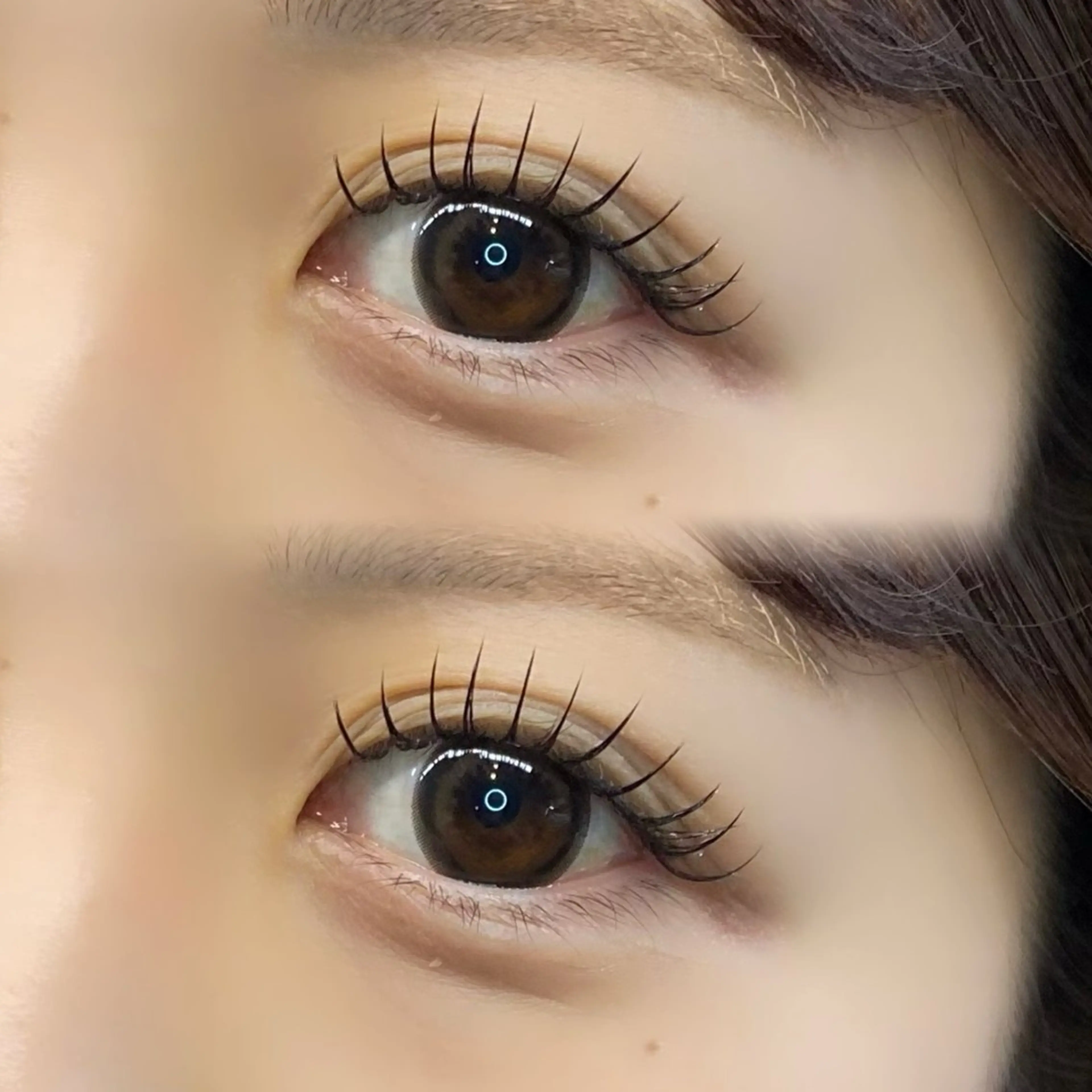 【4/15限定✨️】アップラッシュ付き♩フラットラッシュ100~120本の写真