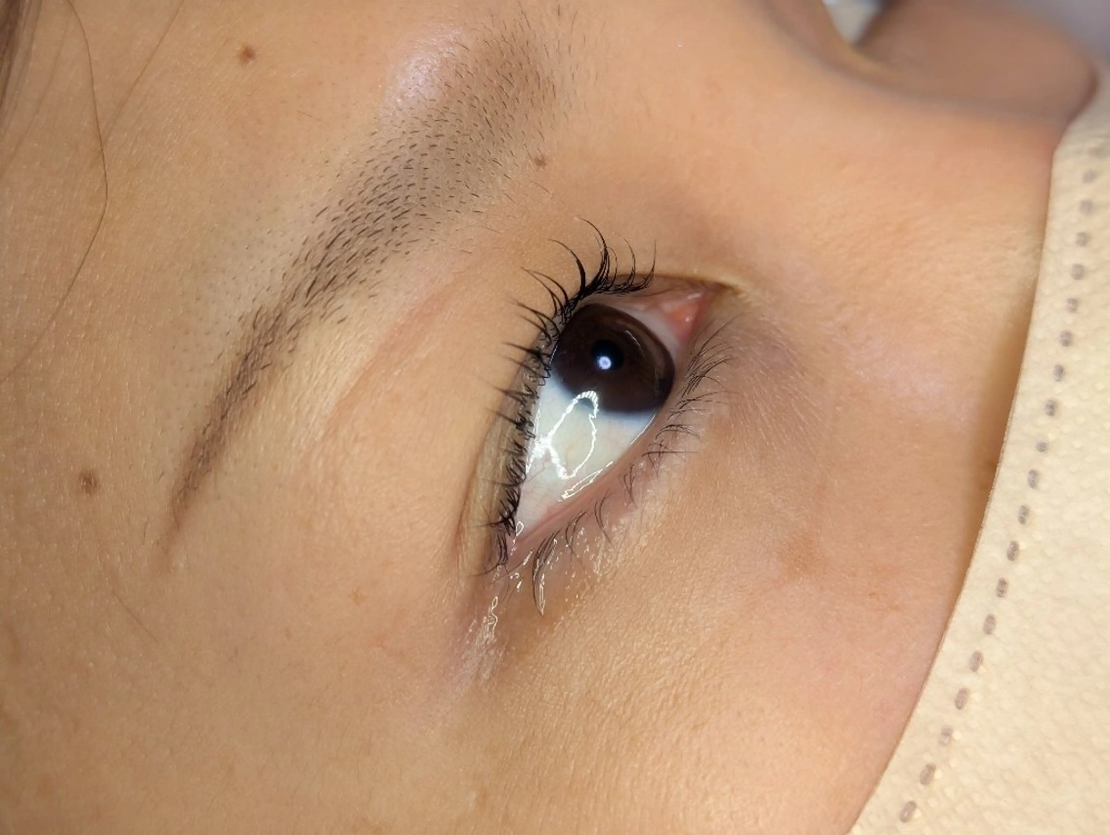 マツエク・マツパ マツパ EYELASH lino　合志市のマツエク・マツパデザイン