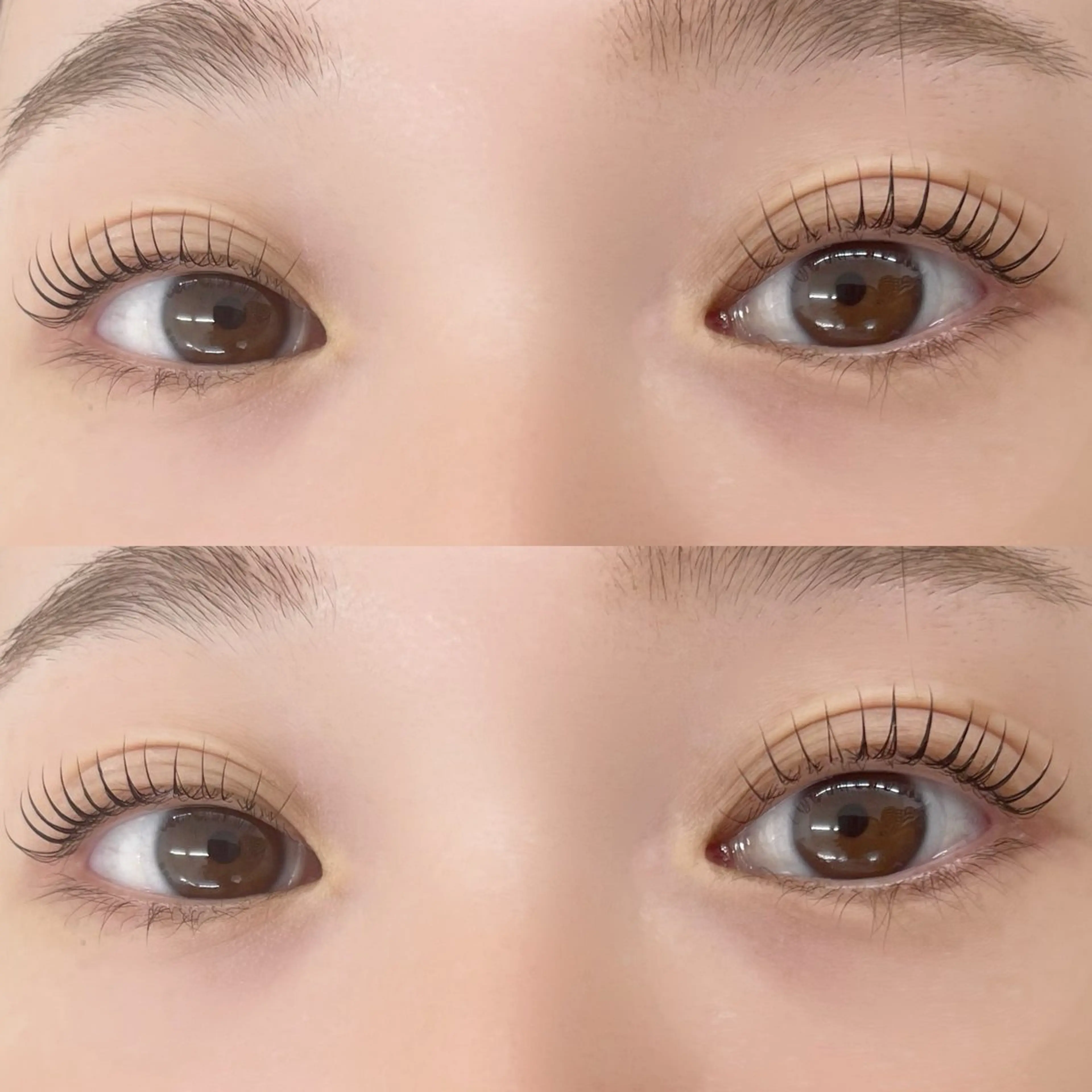 【リピーター様】 🦋似合わせまつ毛パーマ 当日予約◎の写真