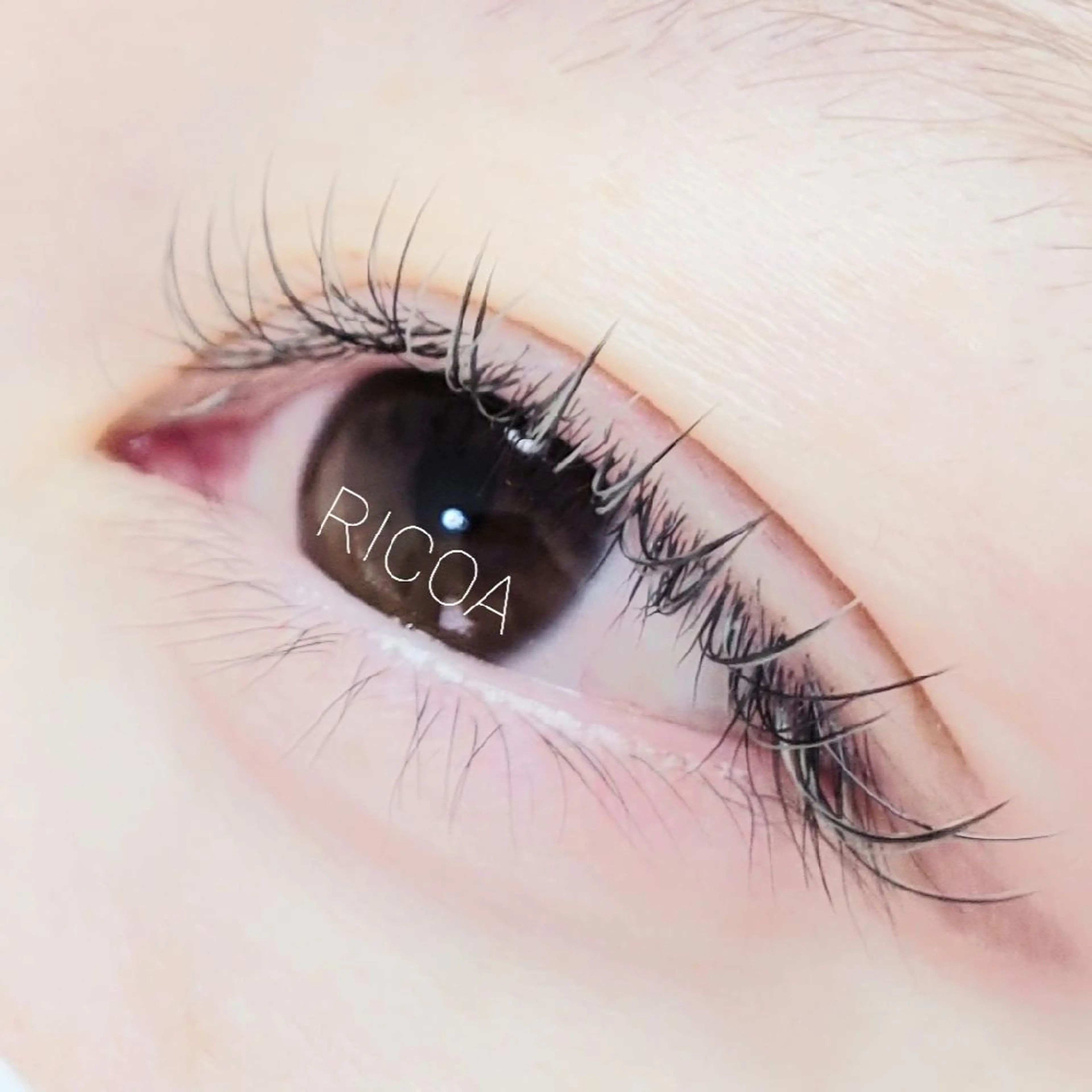 マツエク・マツパ フラットラッシュ RICOA 酒井のマツエク・マツパデザイン