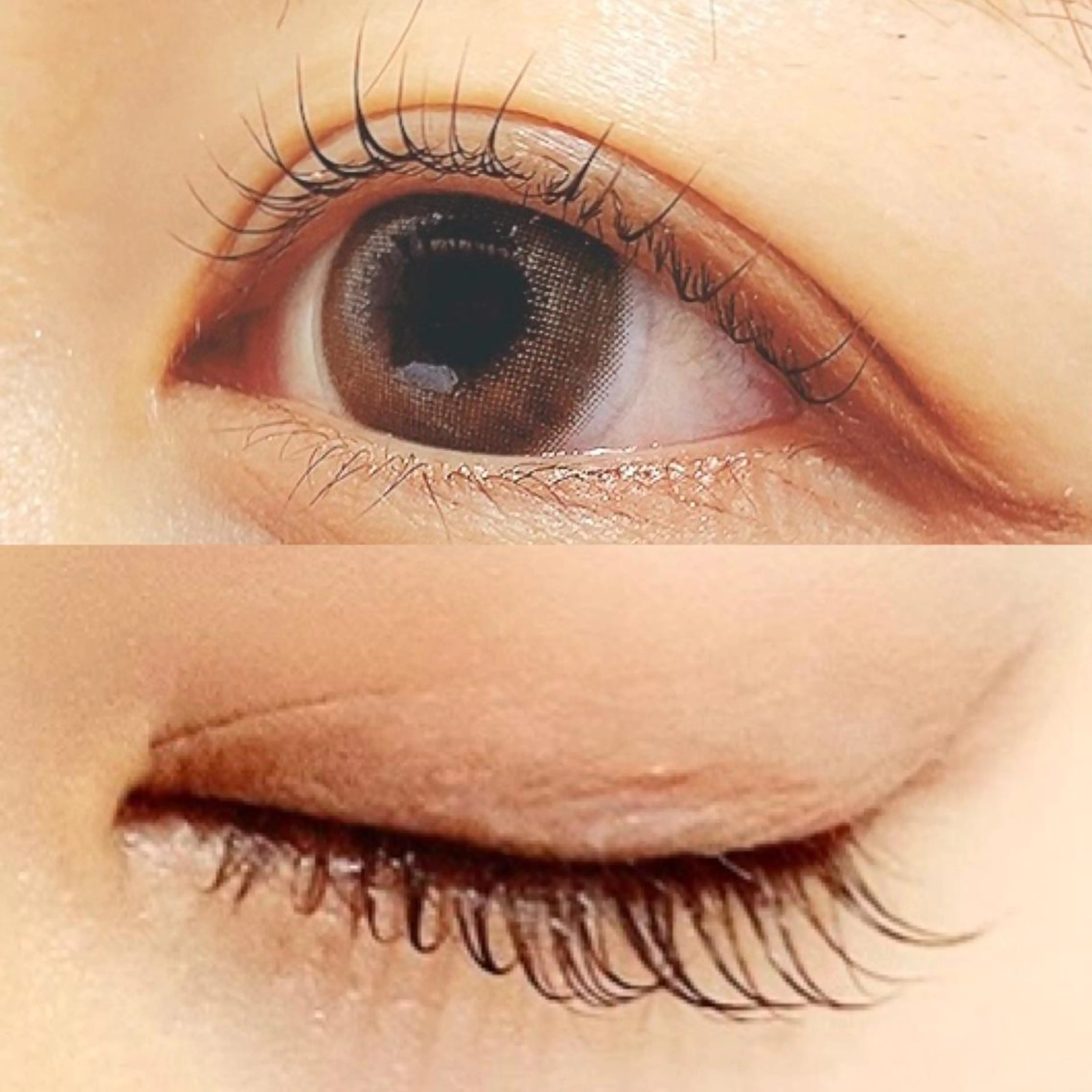 マツエク・マツパ パリジェンヌラッシュリフト ✧elpatio✧︎ 小出紗羅のマツエク・マツパデザイン