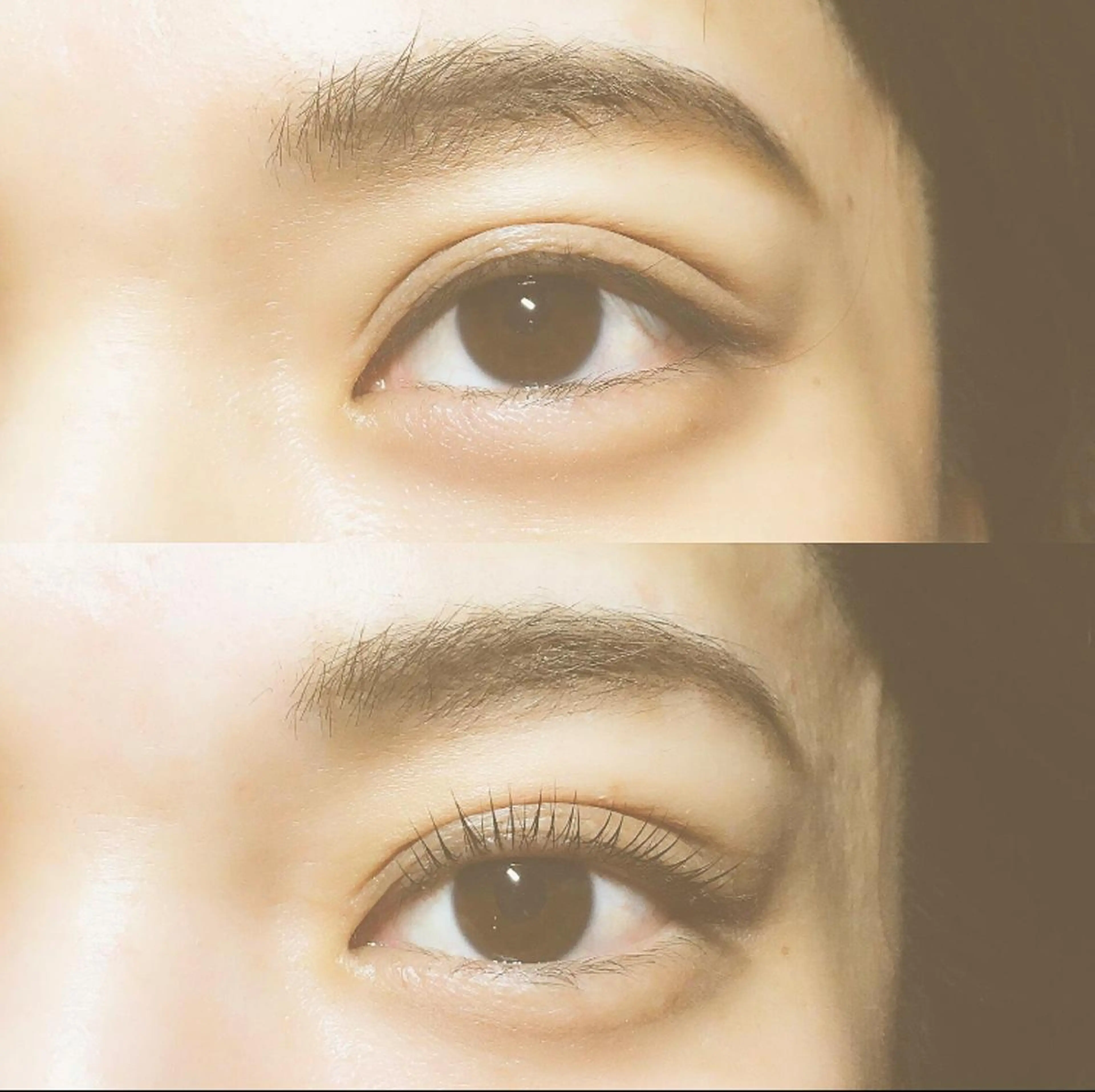 マツエク・マツパ マツパ hi.所属・hi. eyelashのマツエク・マツパデザイン