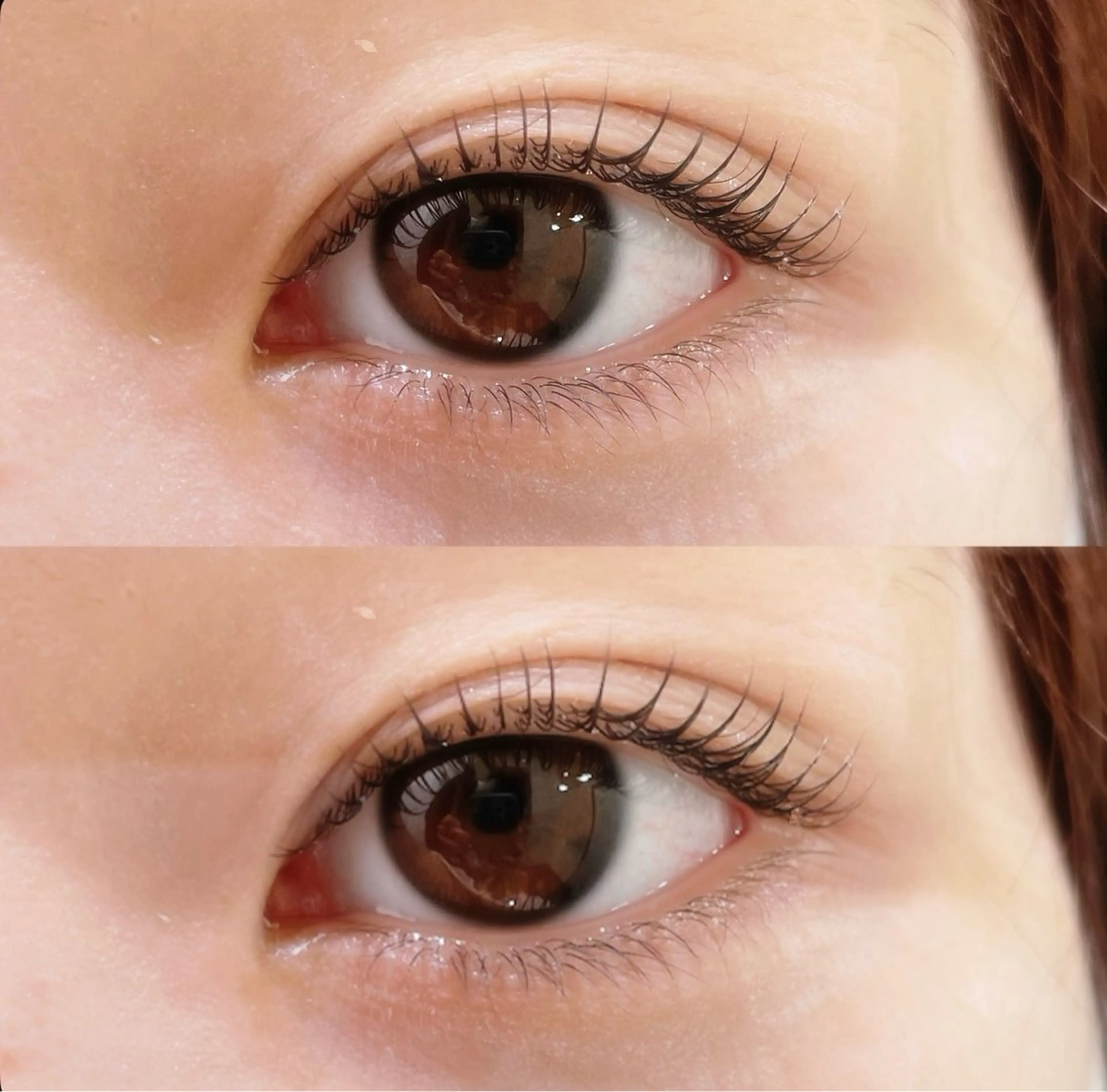 ðãŸã€ãããŒã(äžãŸã€æ¯ã®ã¿)ïŒãŸã€ãããªãŒãã¡ã³ãä»ãã¯ãŒãã³ð€ðã®åç