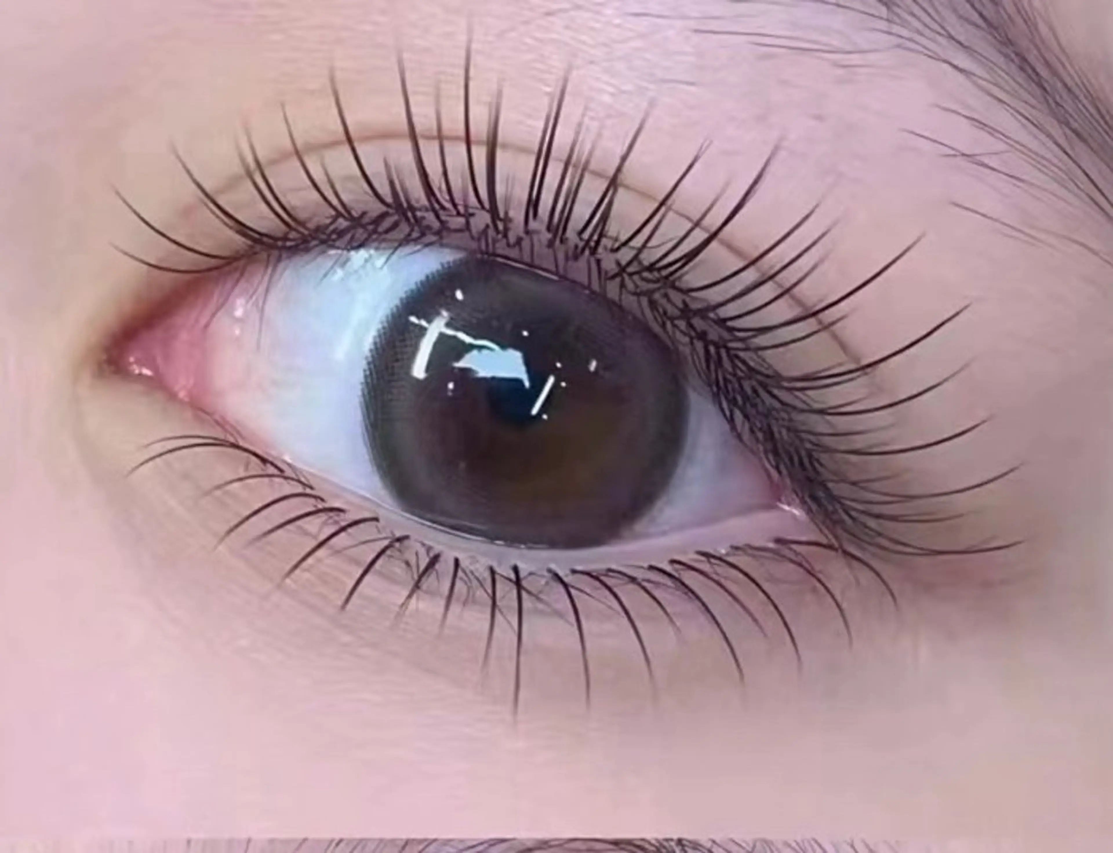 【🌸下まつ毛フラットラッシュ40本🌸】🍬オフ追加500円🍬の写真