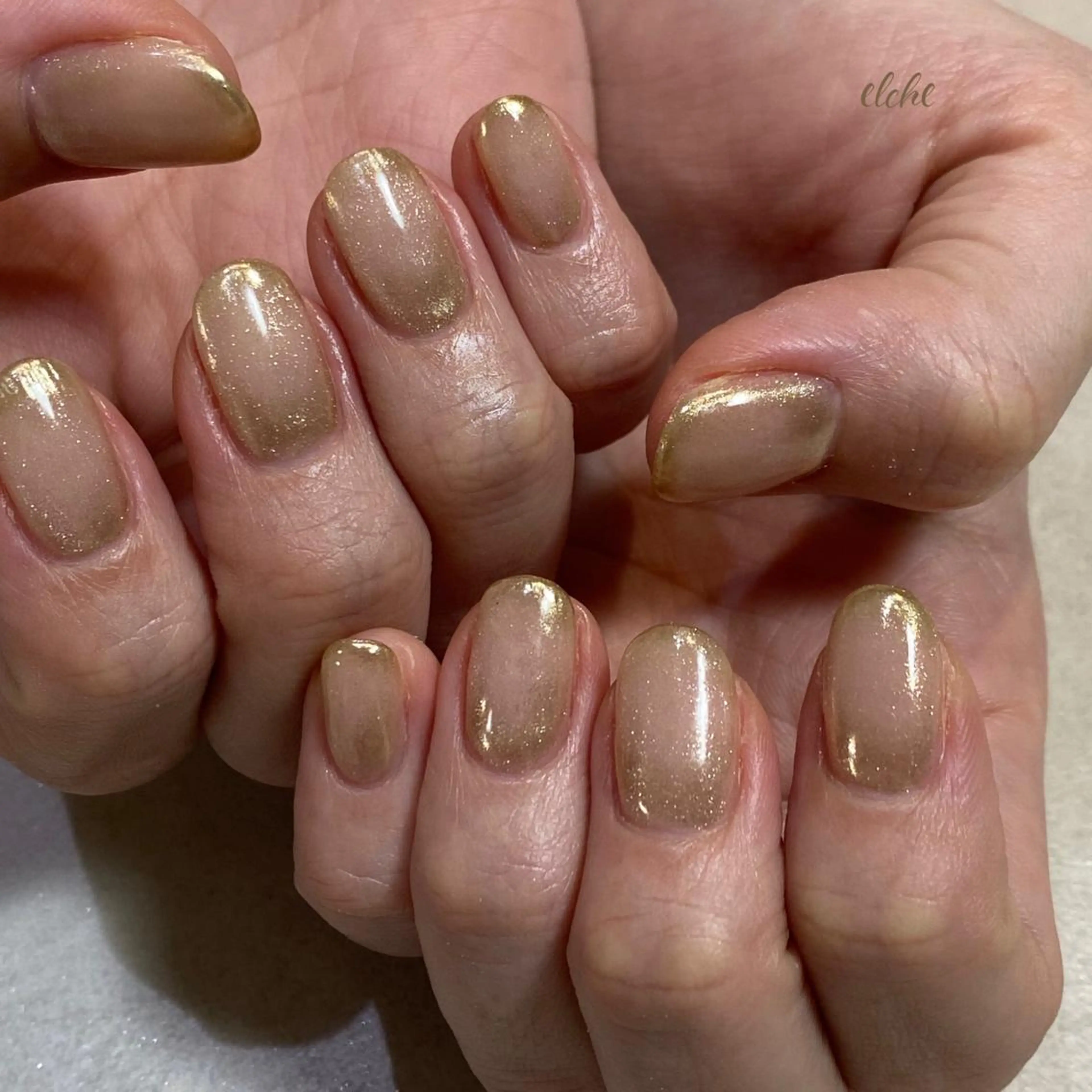 ネイル Rio 𓍼のネイルデザイン