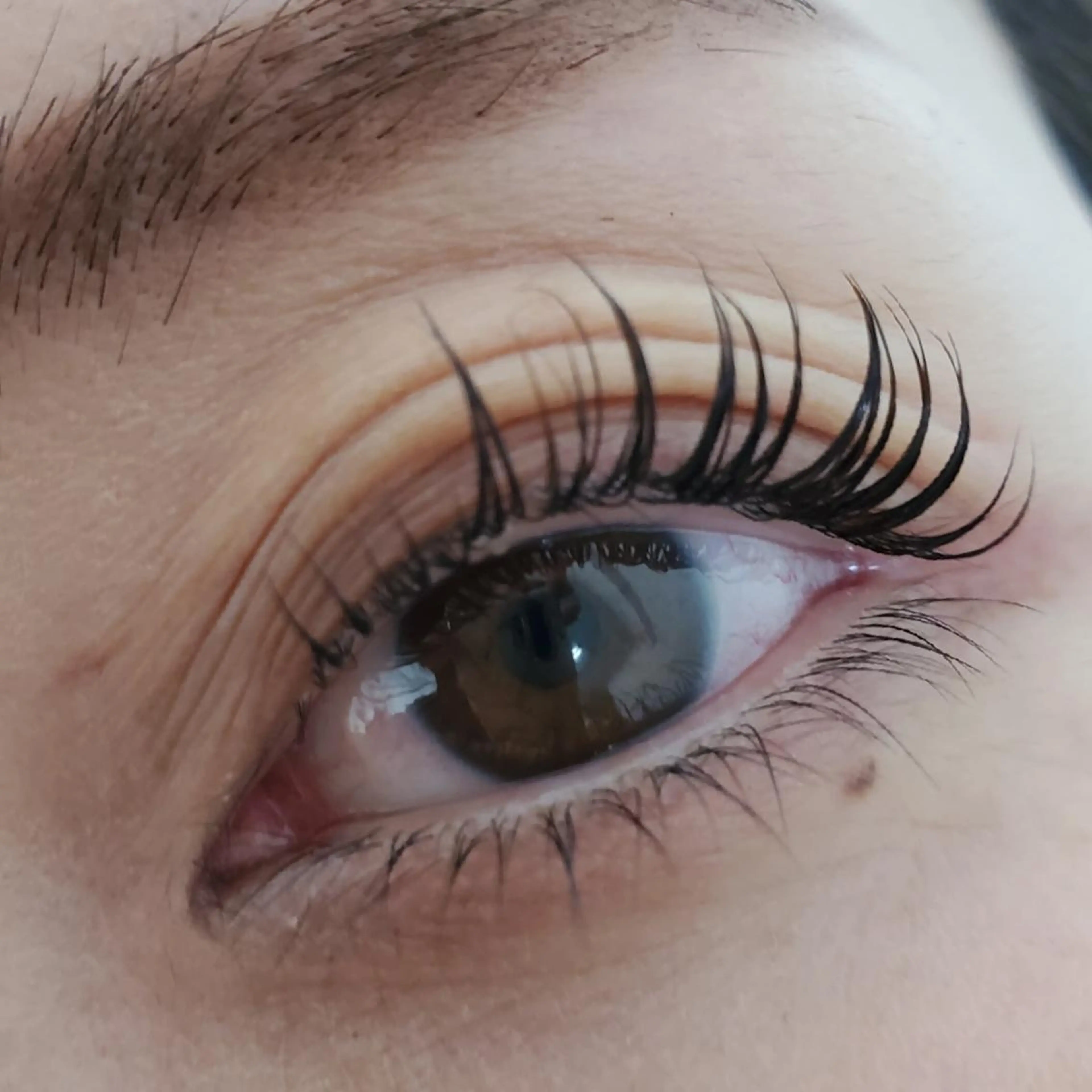 まつげカール&トリートメント・２回分(御本人のみ)の写真