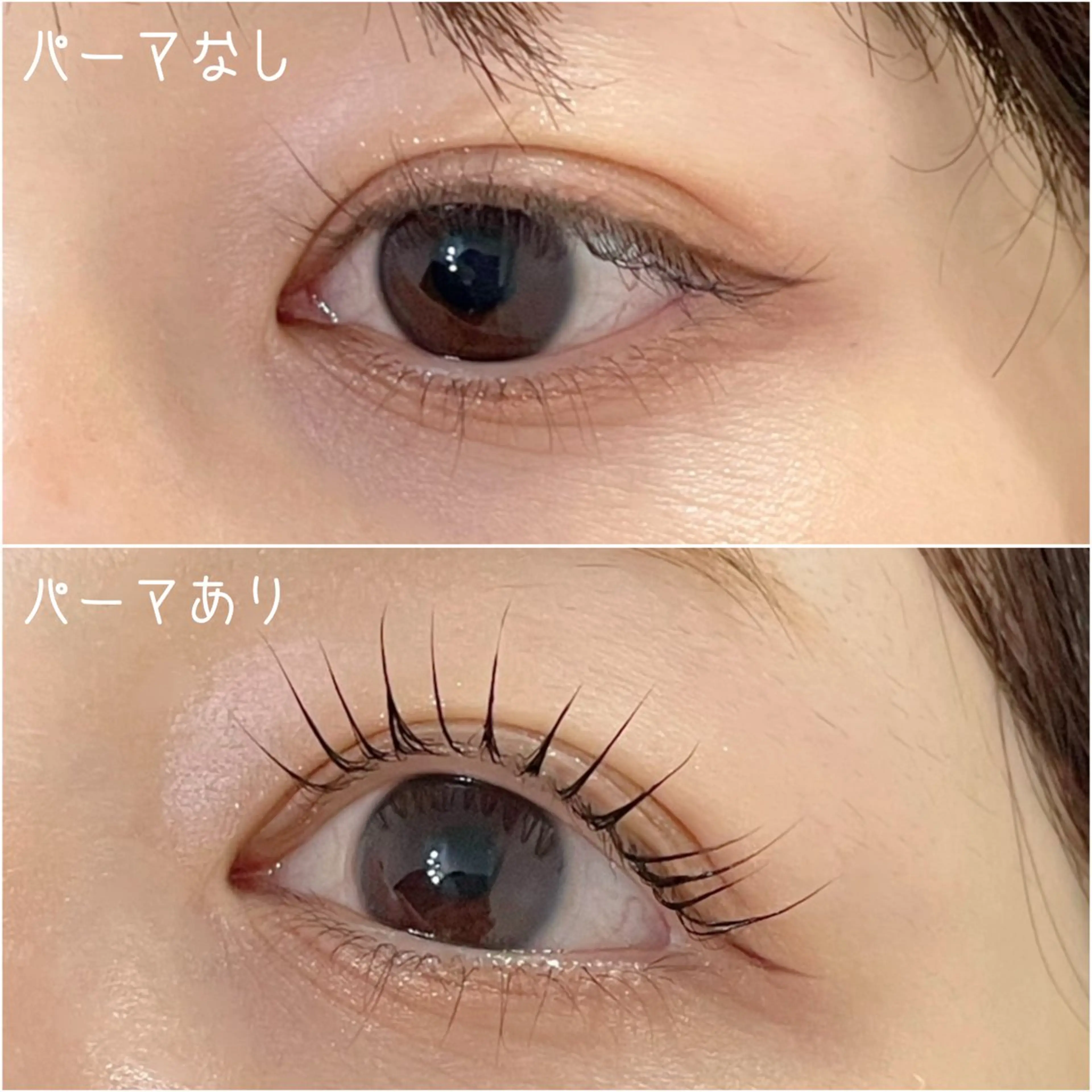 マツエク・マツパ fufula mitsutakeのマツエク・マツパデザイン