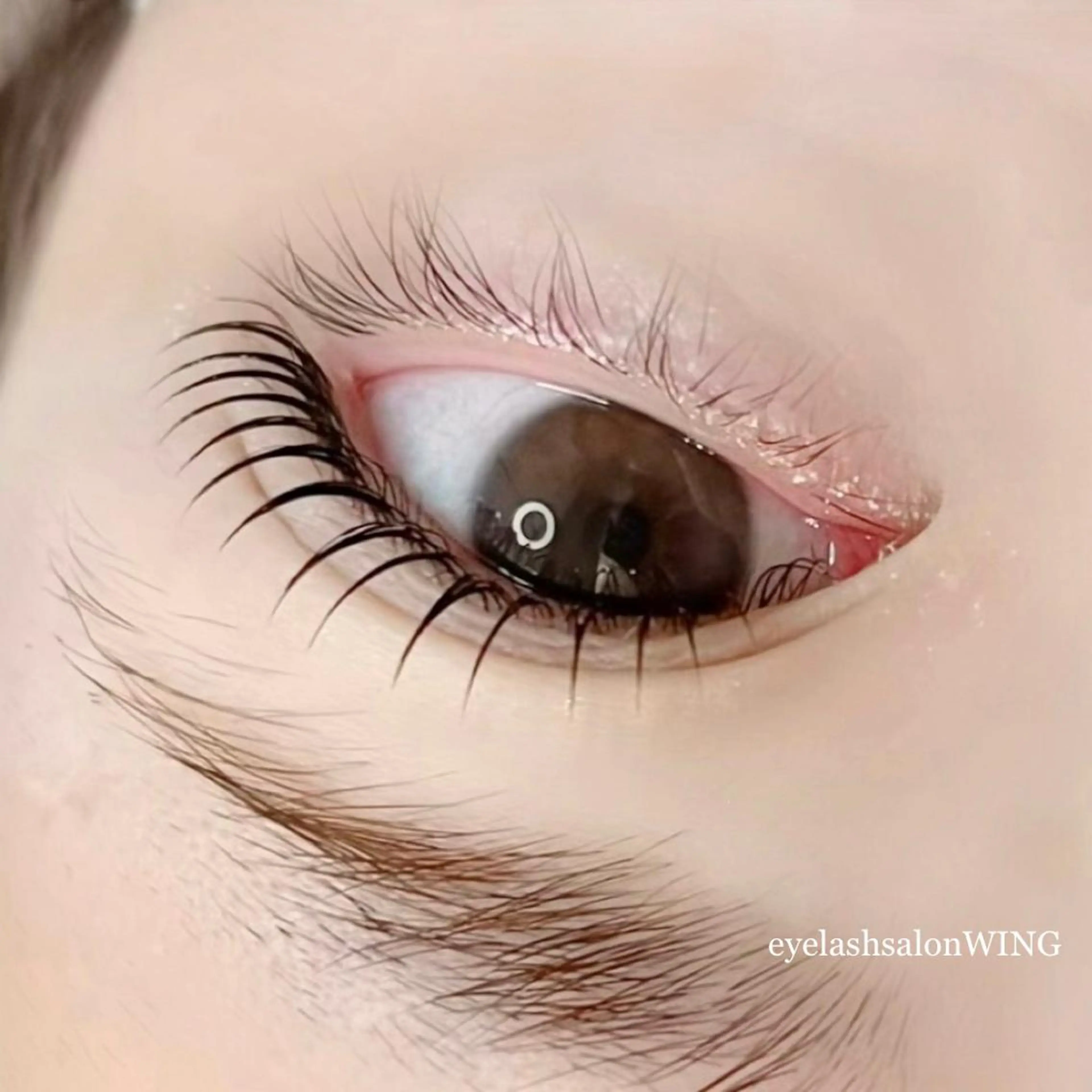 マツエク・マツパ 🩰MARINA🩰 【LED専門】のマツエク・マツパデザイン