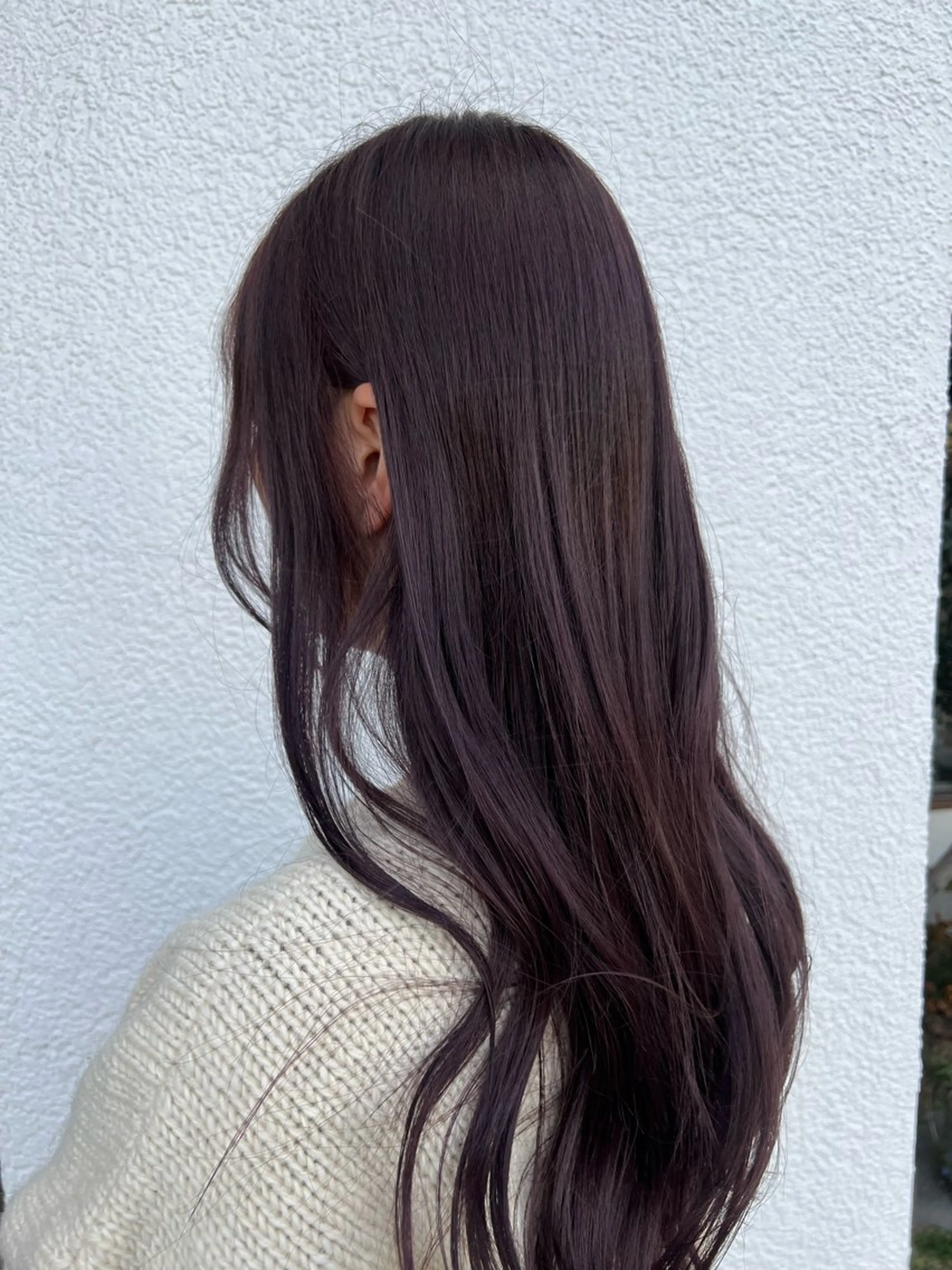 【1月限定30%off💜】ワンカラーのみとなっております❣️の写真