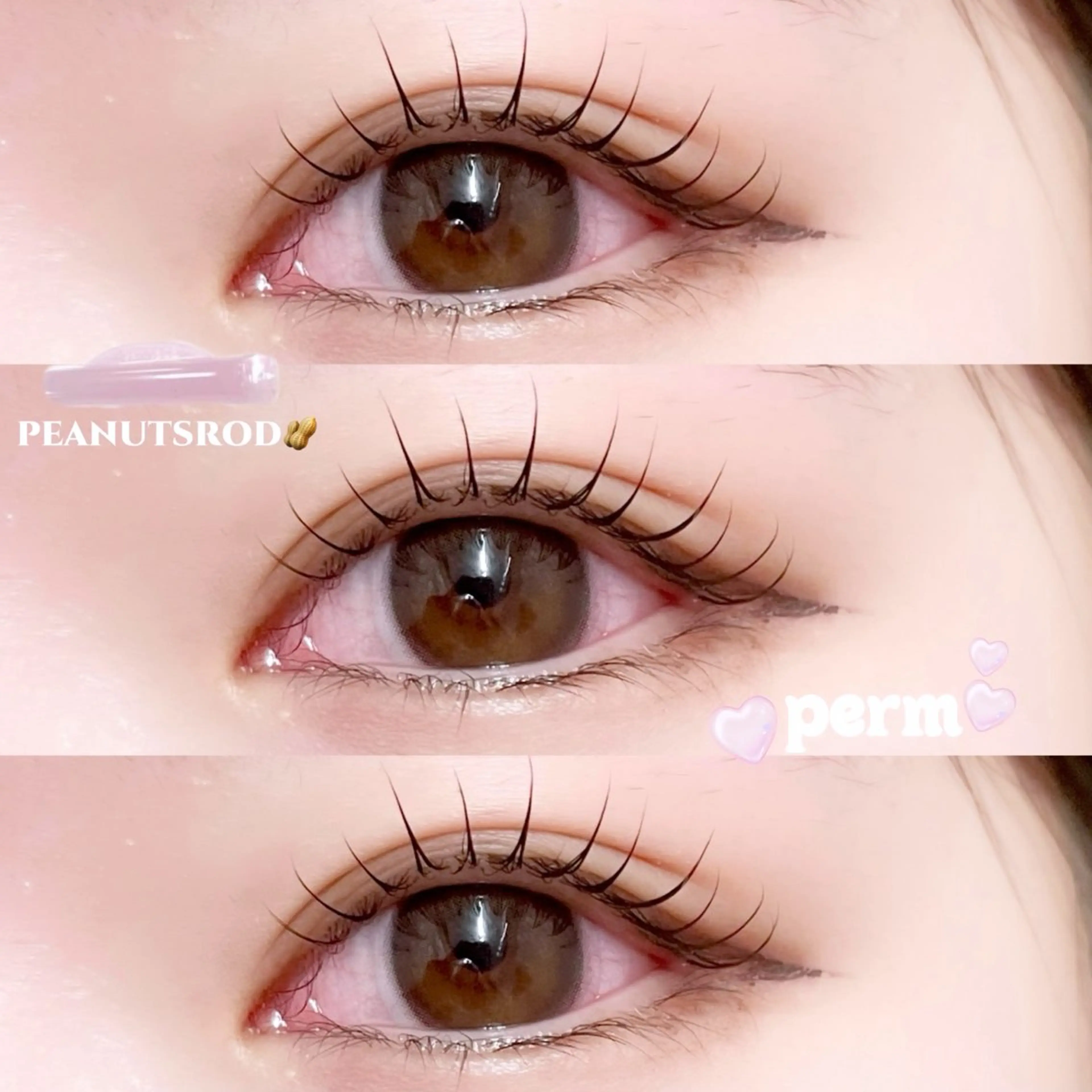 マツエク・マツパ マツパ Ren♡韓国風まつ毛 ┋LED┋パリエクのマツエク・マツパデザイン