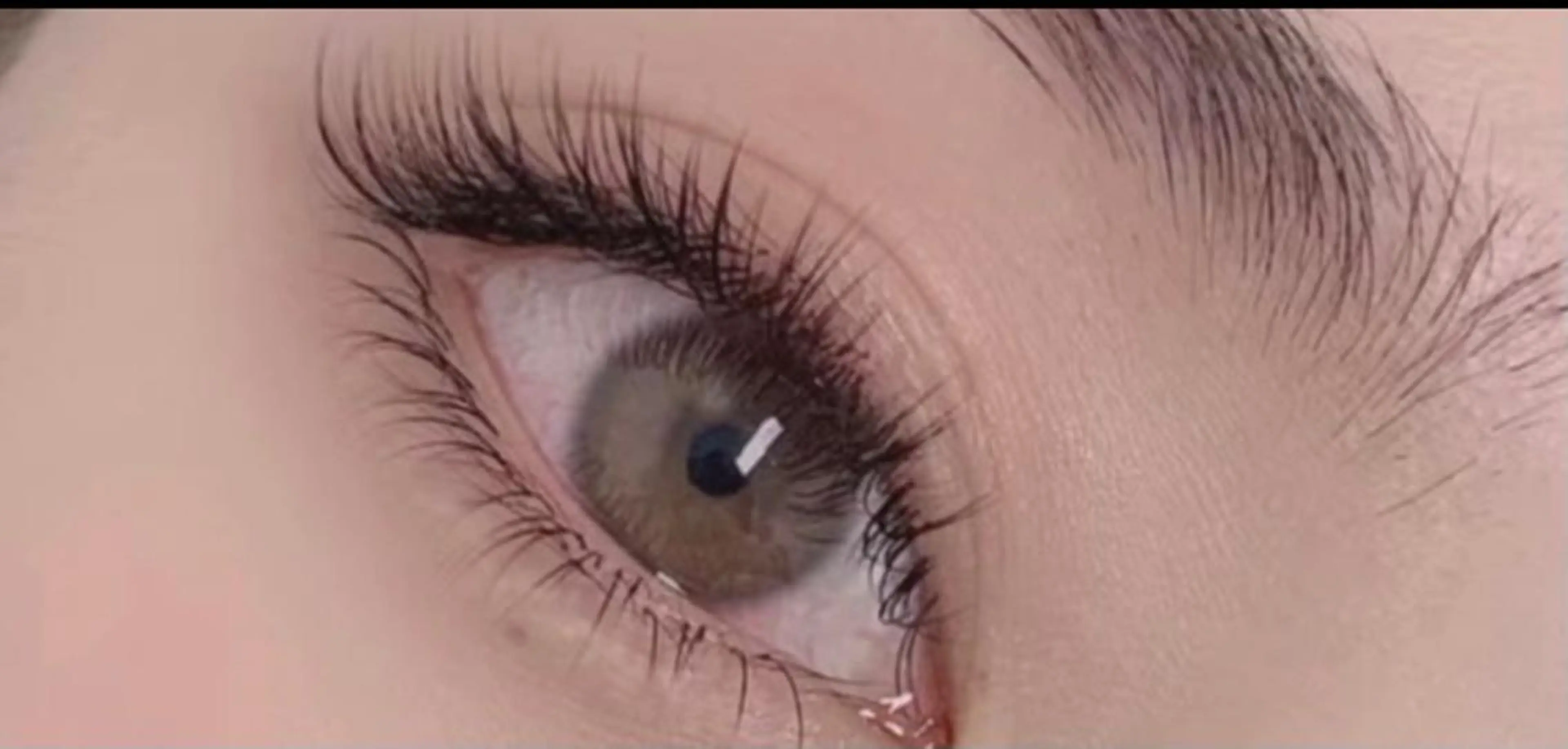 持続力好評♪ バインドロック120束(480本)オフ込み♪の写真