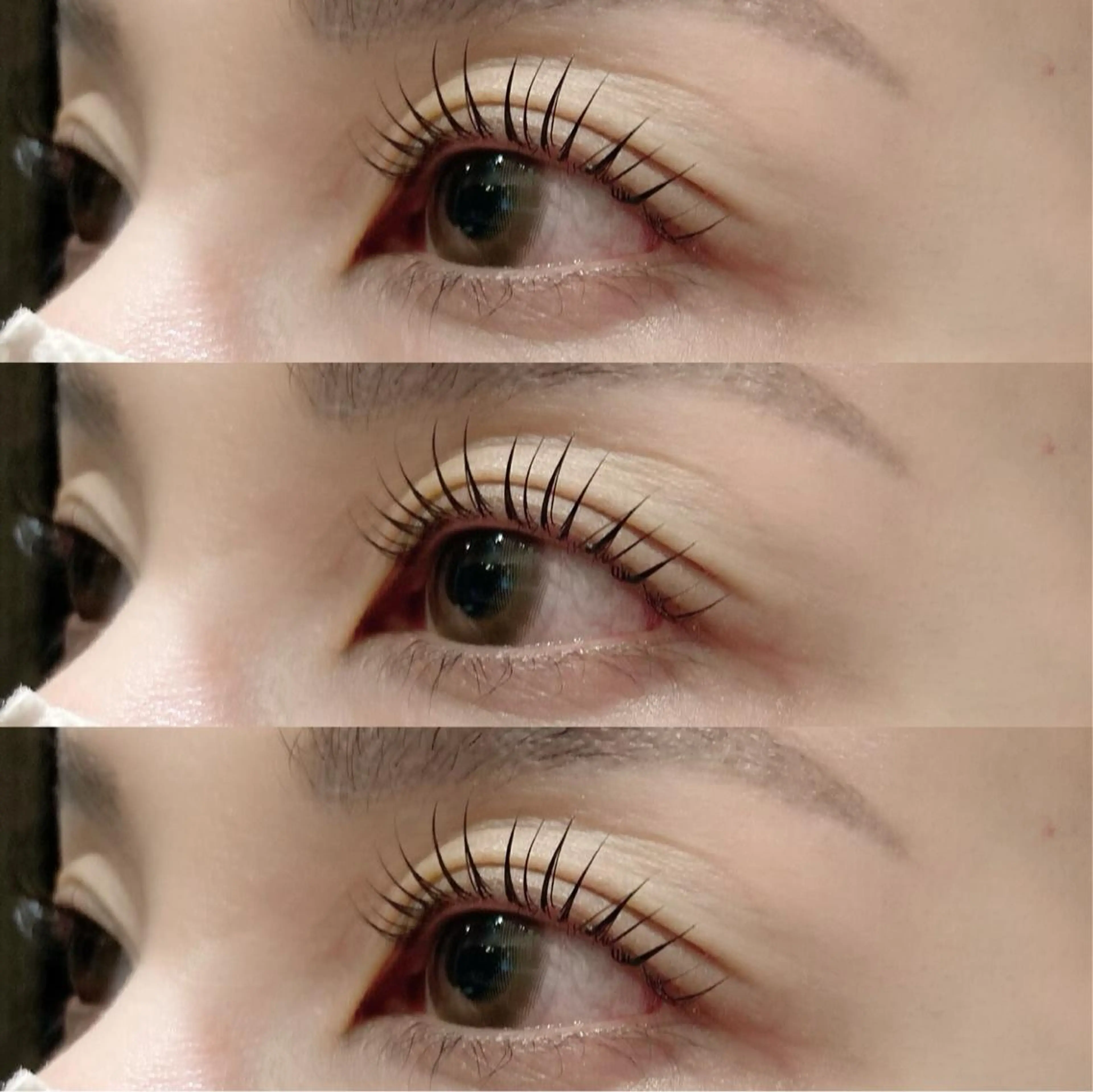 🫶平日限定🫶次世代まつ毛パーマの写真