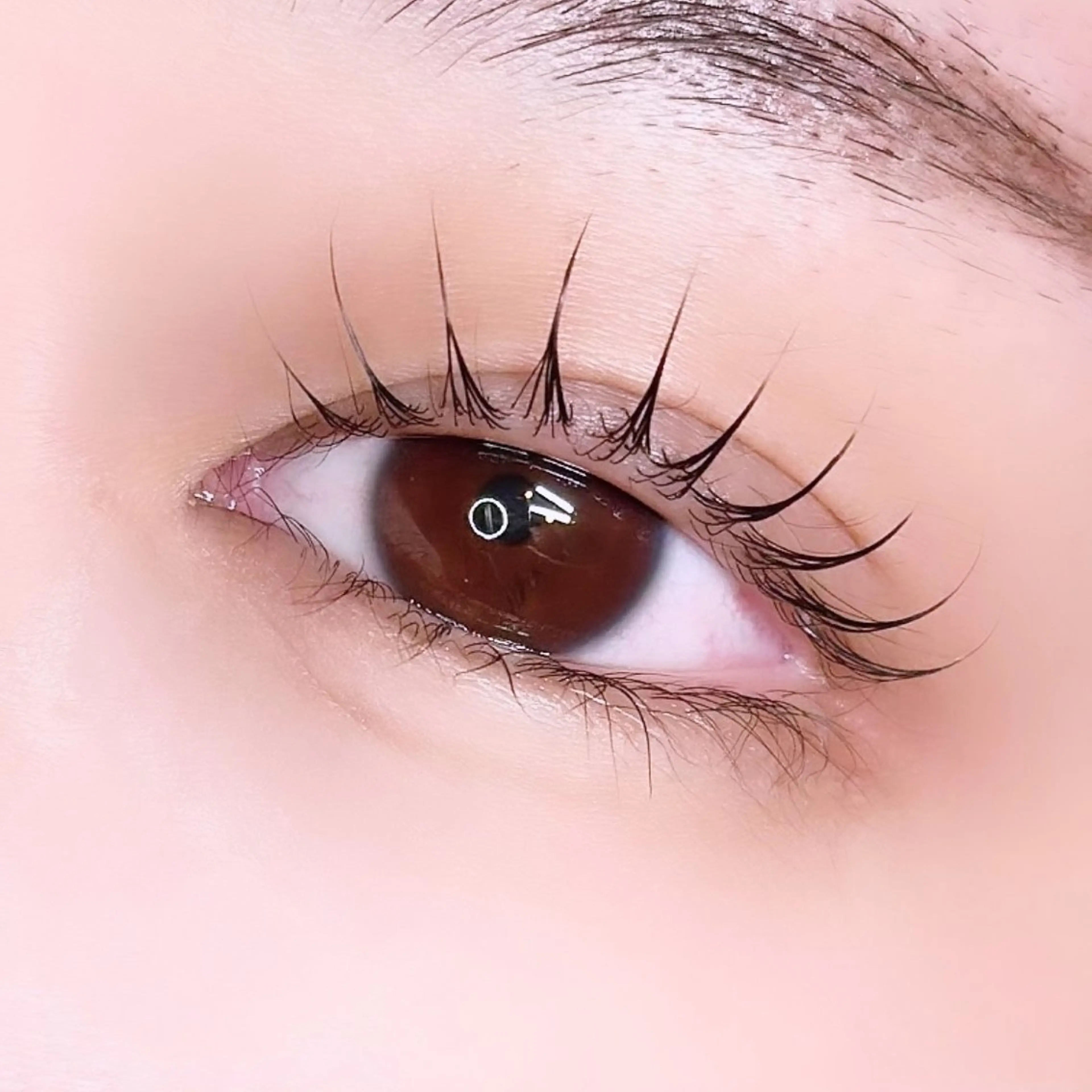 マツエク・マツパ 束感まつ毛 韓国風マツエク ella eyelashのマツエク・マツパデザイン