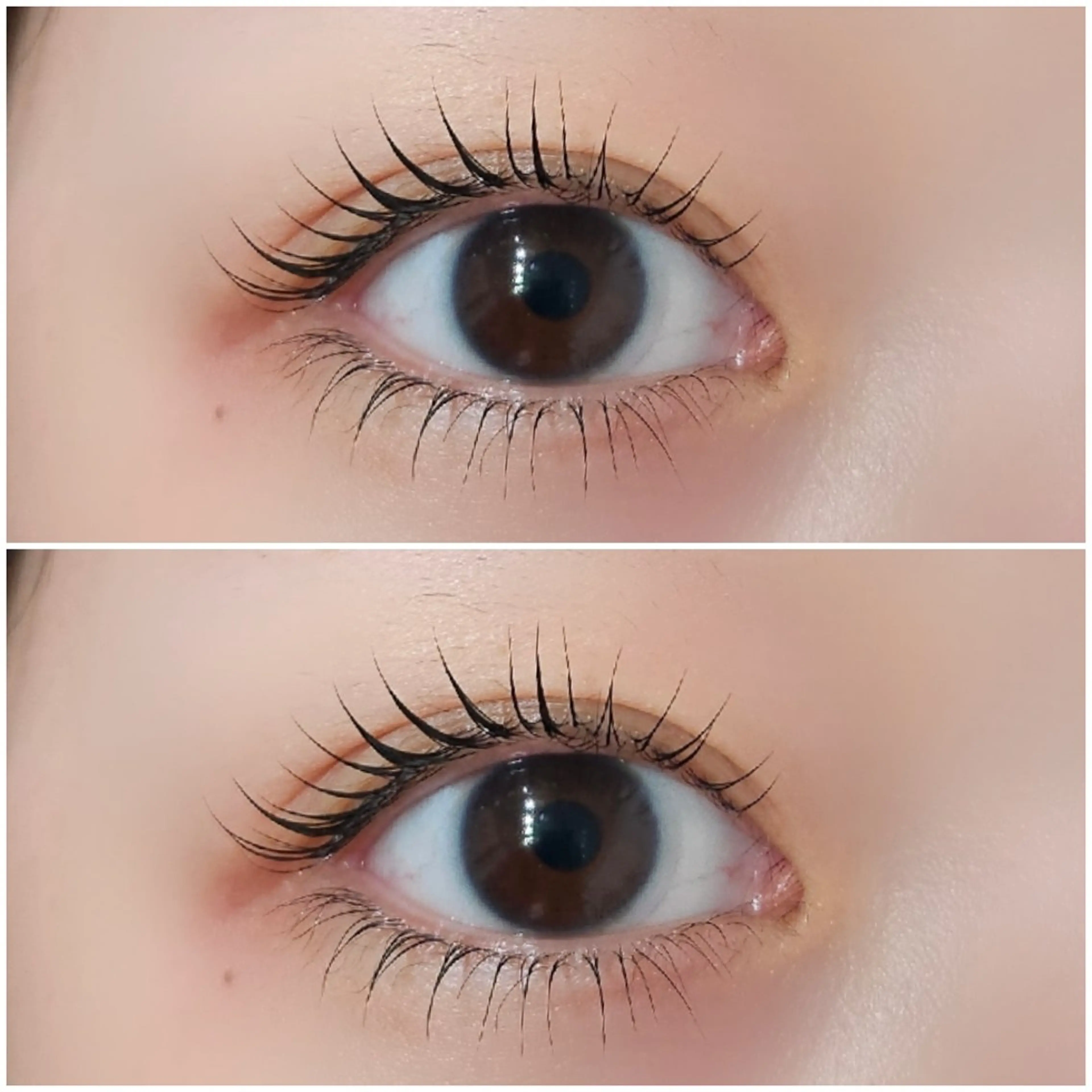 【アイSh.TR込み】上下ラッシュリフト🎀の写真