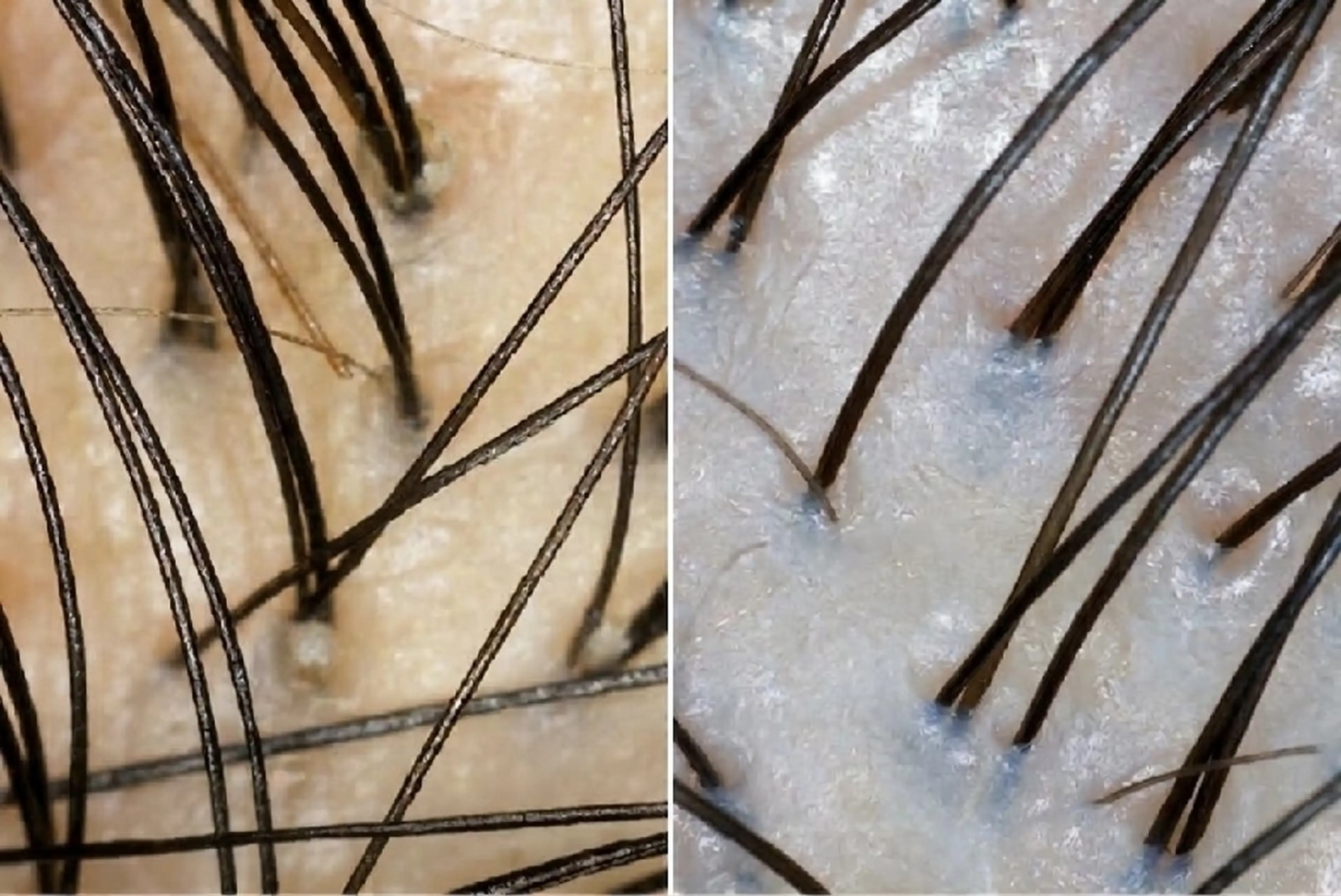 トリートメント ヘッドスパ スパニスト  YUMI.のヘアスタイル