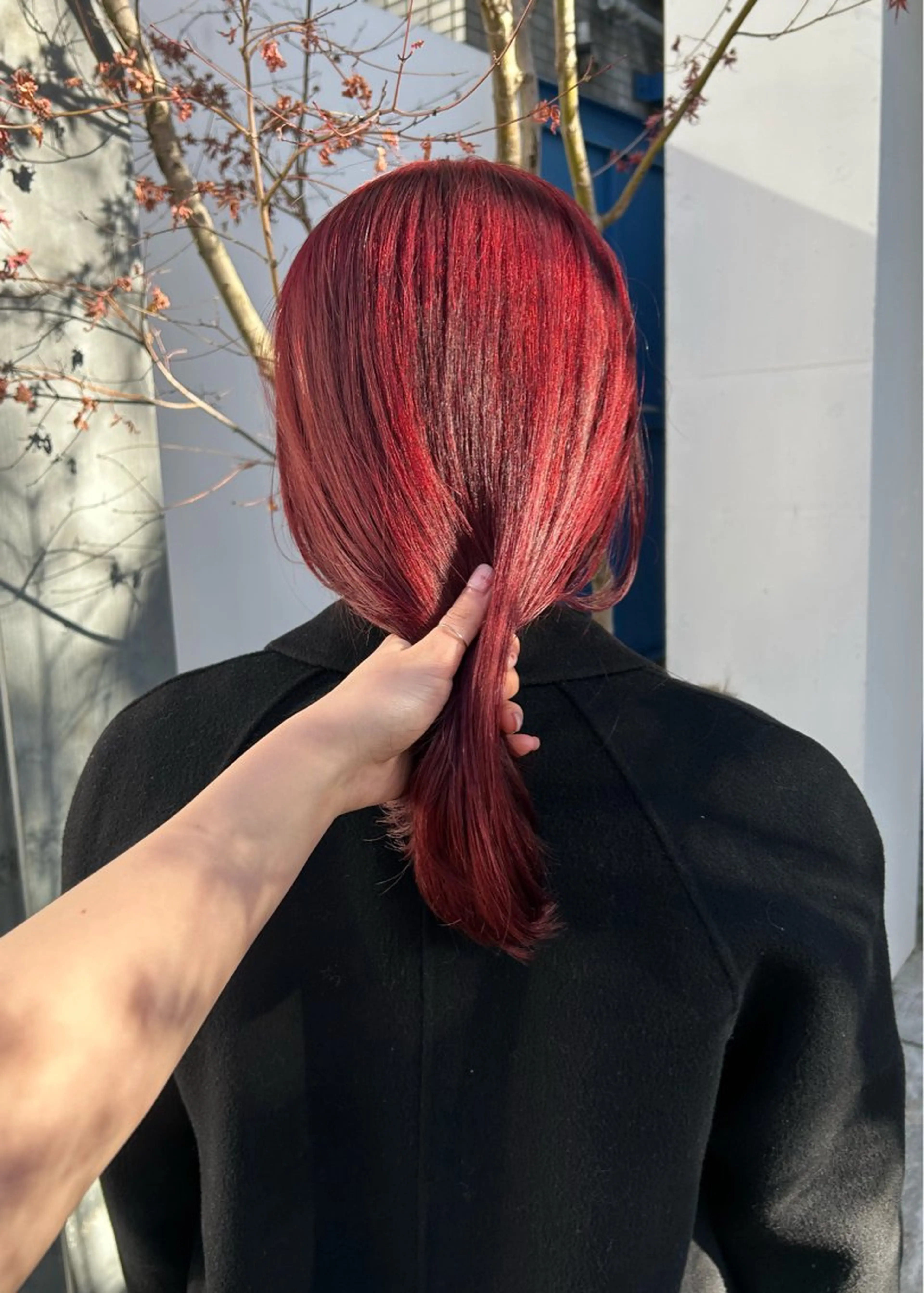 ミディアム カラー ヘアカラー じゅわっと暖色カラー 🍊Moemiのヘアスタイル