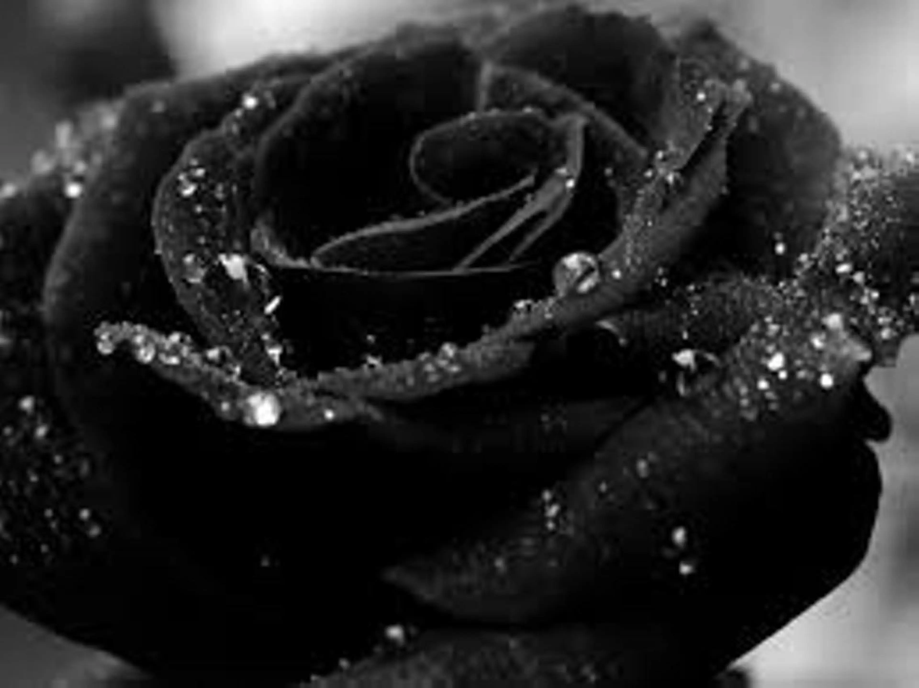 É LINDA所属・E LINDAのネイルデザイン