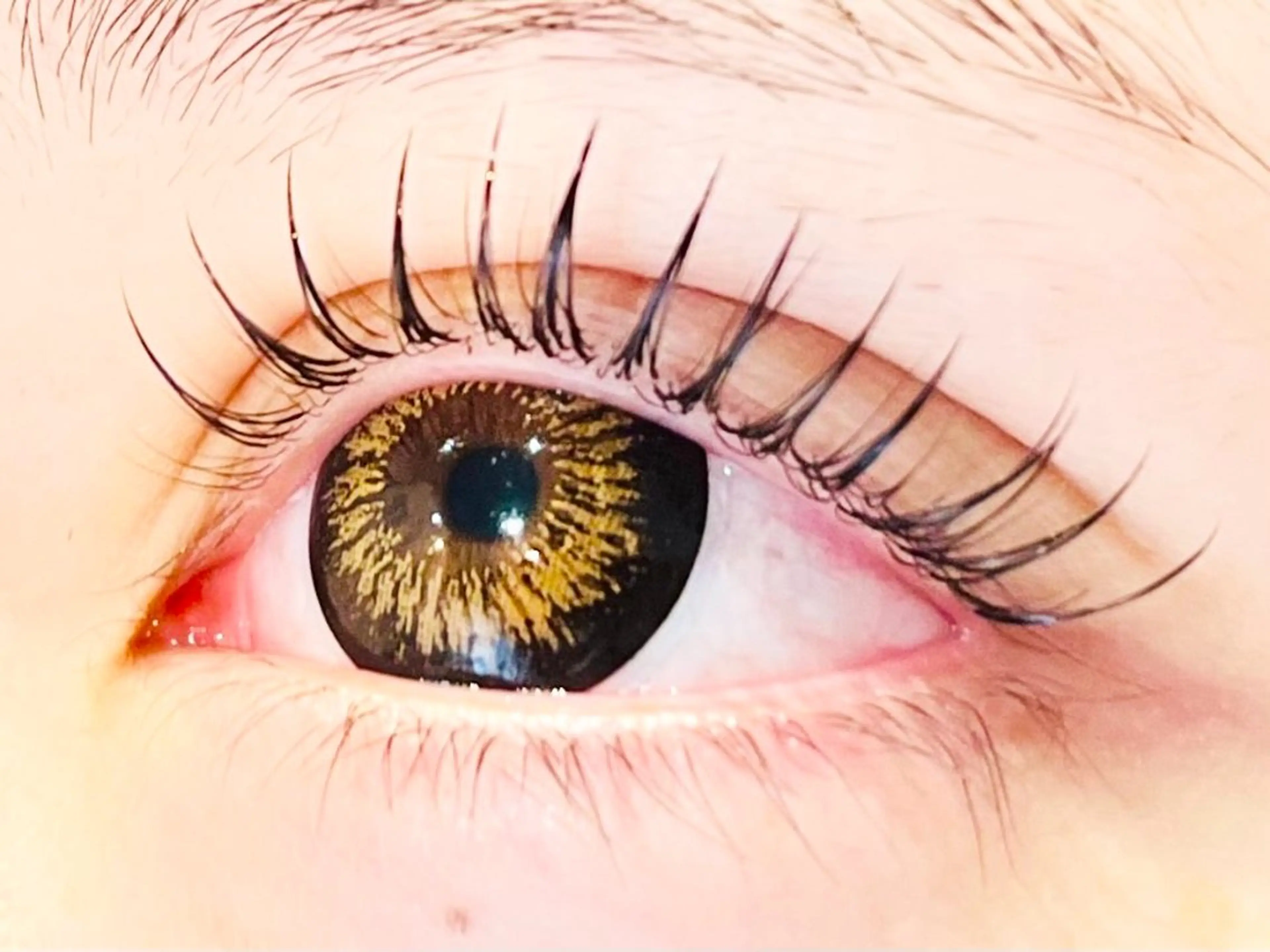 まつ毛パーマ5500円下まつ毛も同時可能です!ご相談ください☆担当が変わる場合がございますのでご了承下さい。の写真