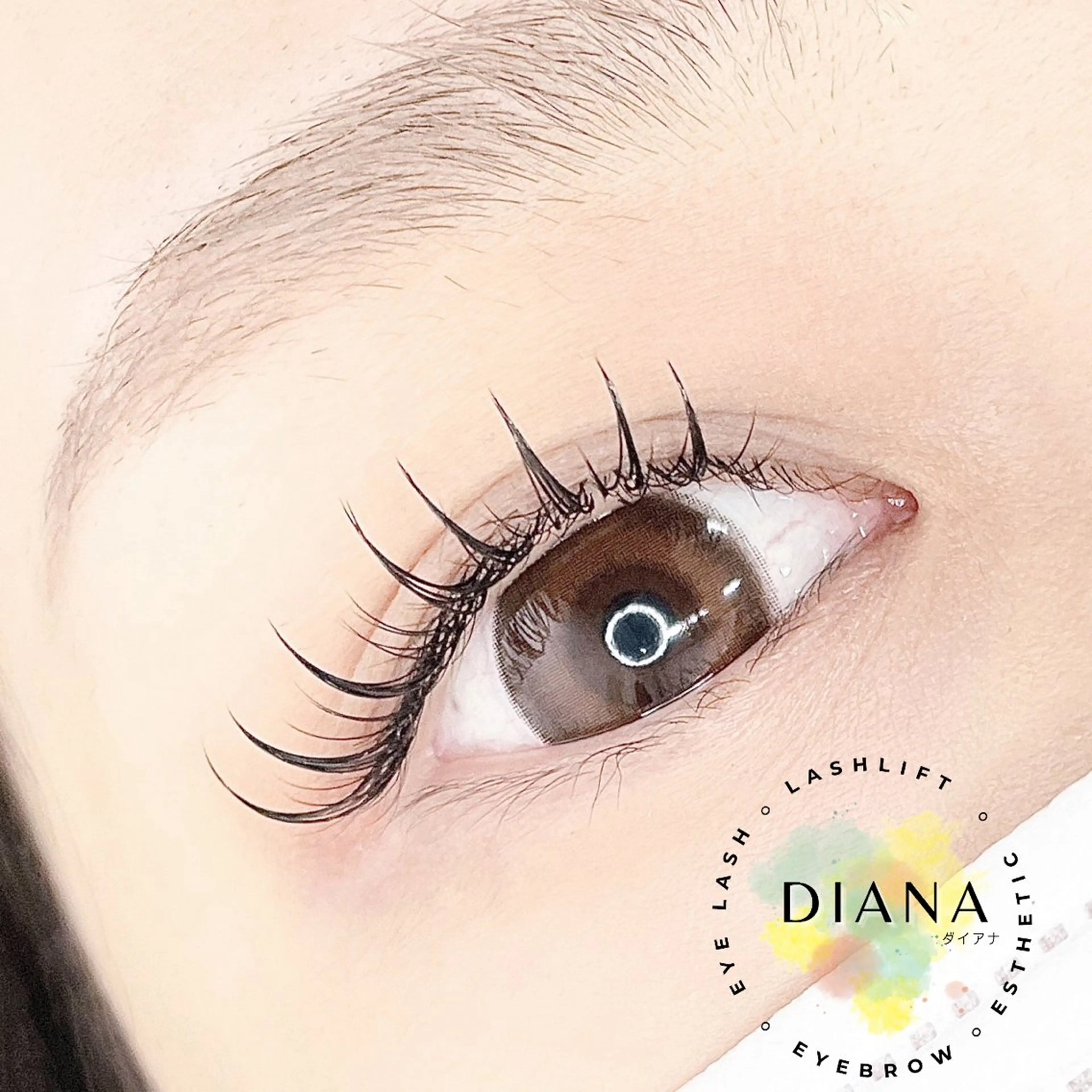 マツエク・マツパ Dカール フラットラッシュ ワンホンマツエク DIANA★eye sudaのマツエク・マツパデザイン