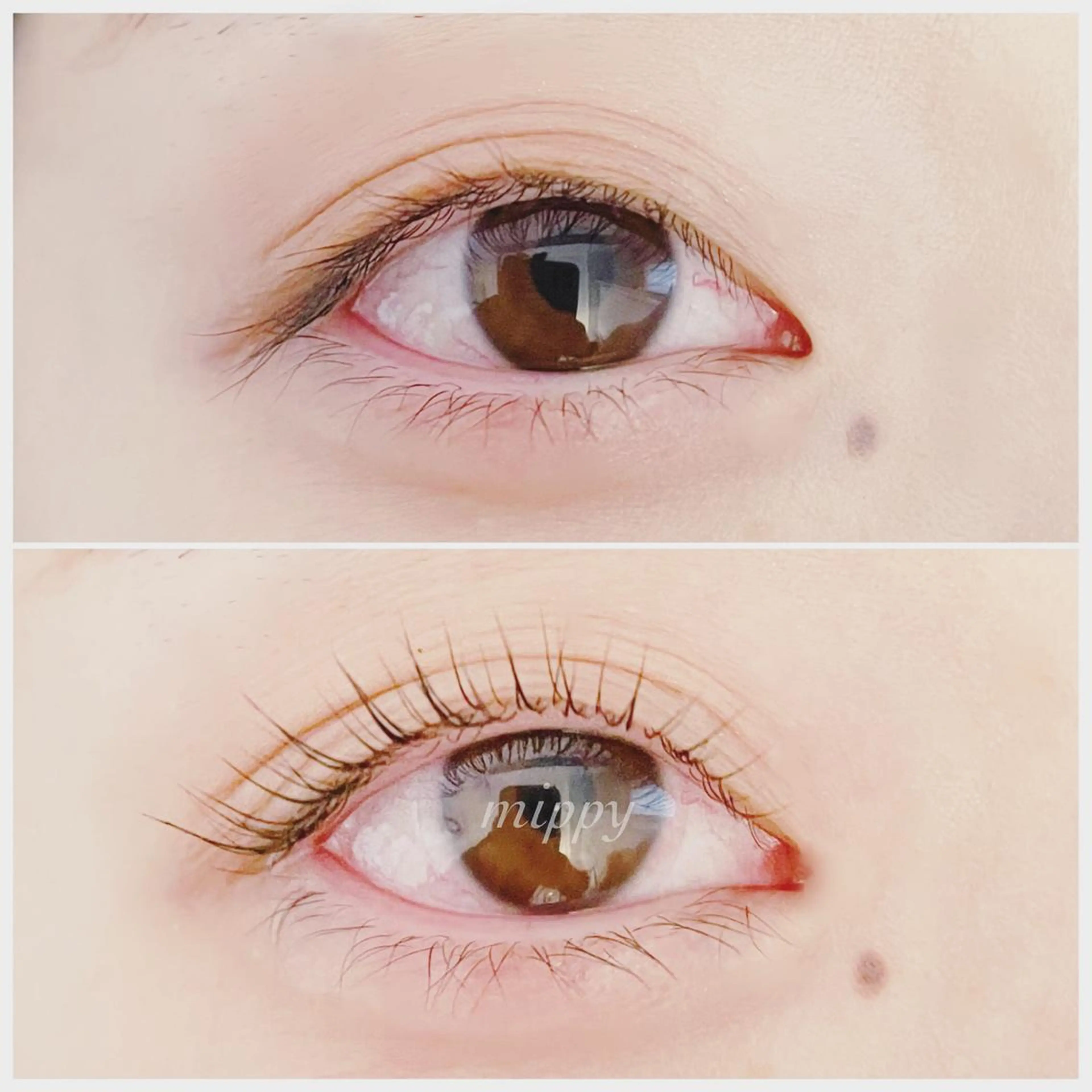 マツエク・マツパ パリジェンヌラッシュリフト ｍｉｐｐｙ 🪽のマツエク・マツパデザイン