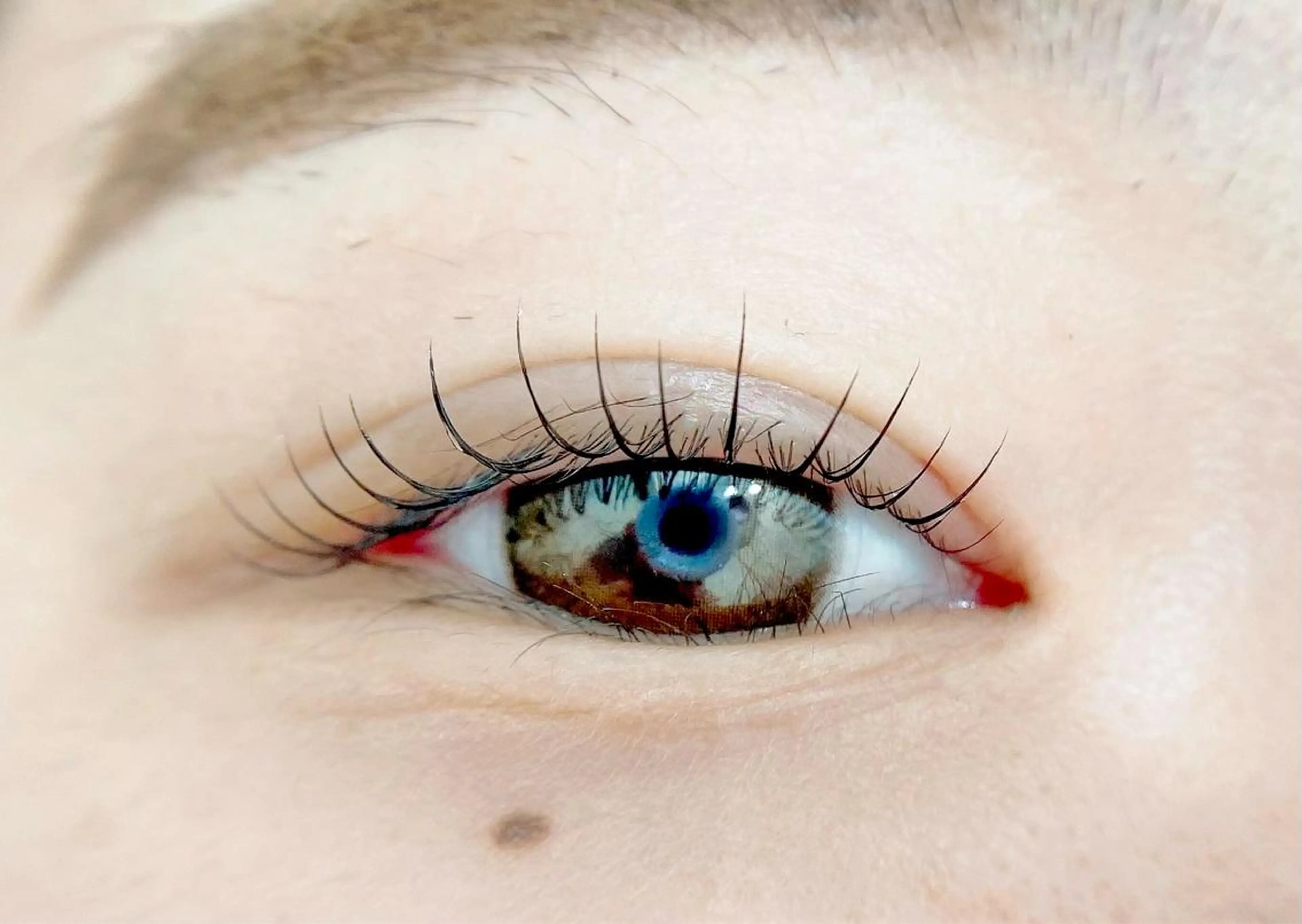 マツエク・マツパ マツパ Rabbit hagaのマツエク・マツパデザイン