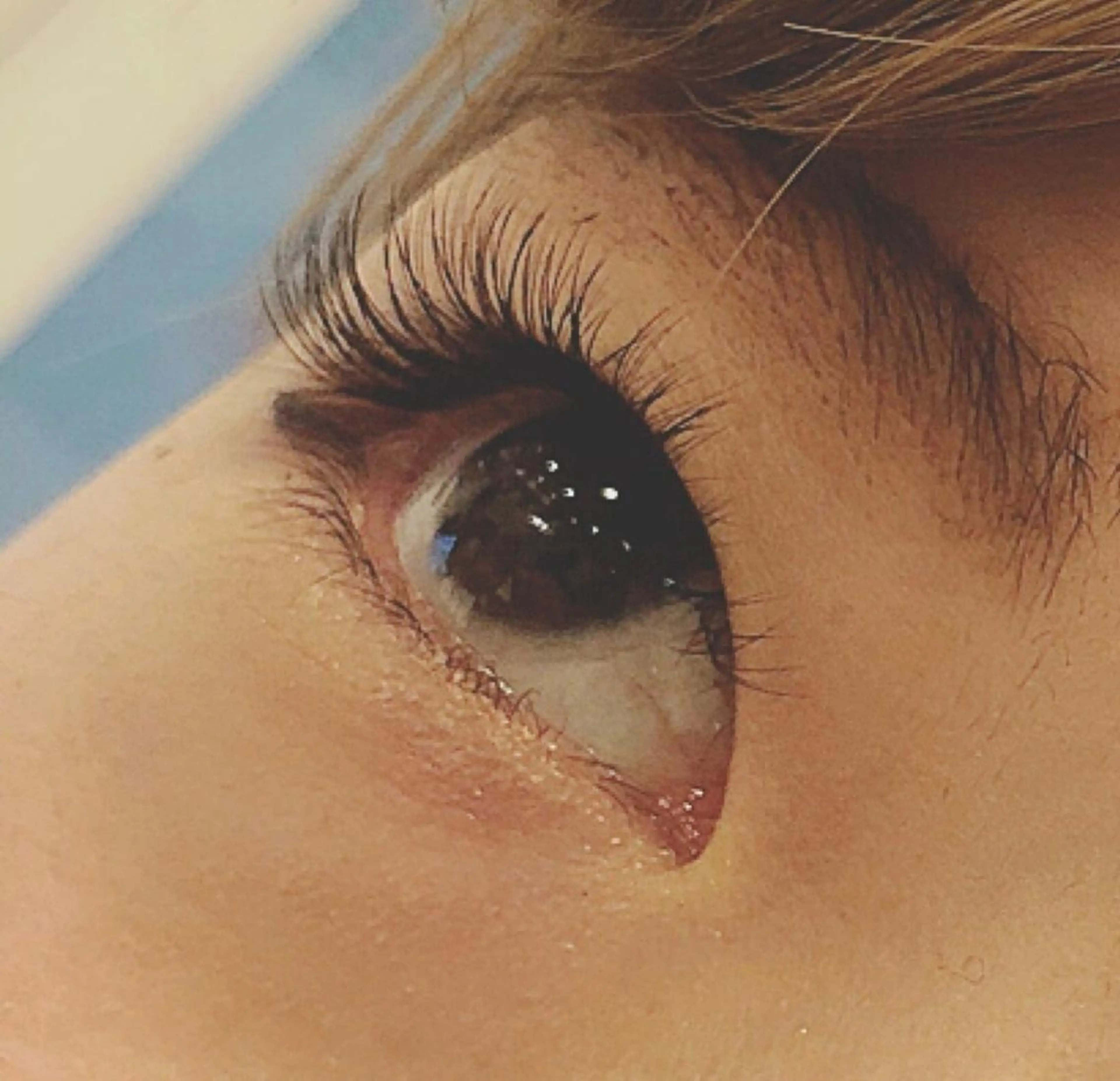 マツエク・マツパ セーブル サクラブロウ 難波のマツエク・マツパデザイン