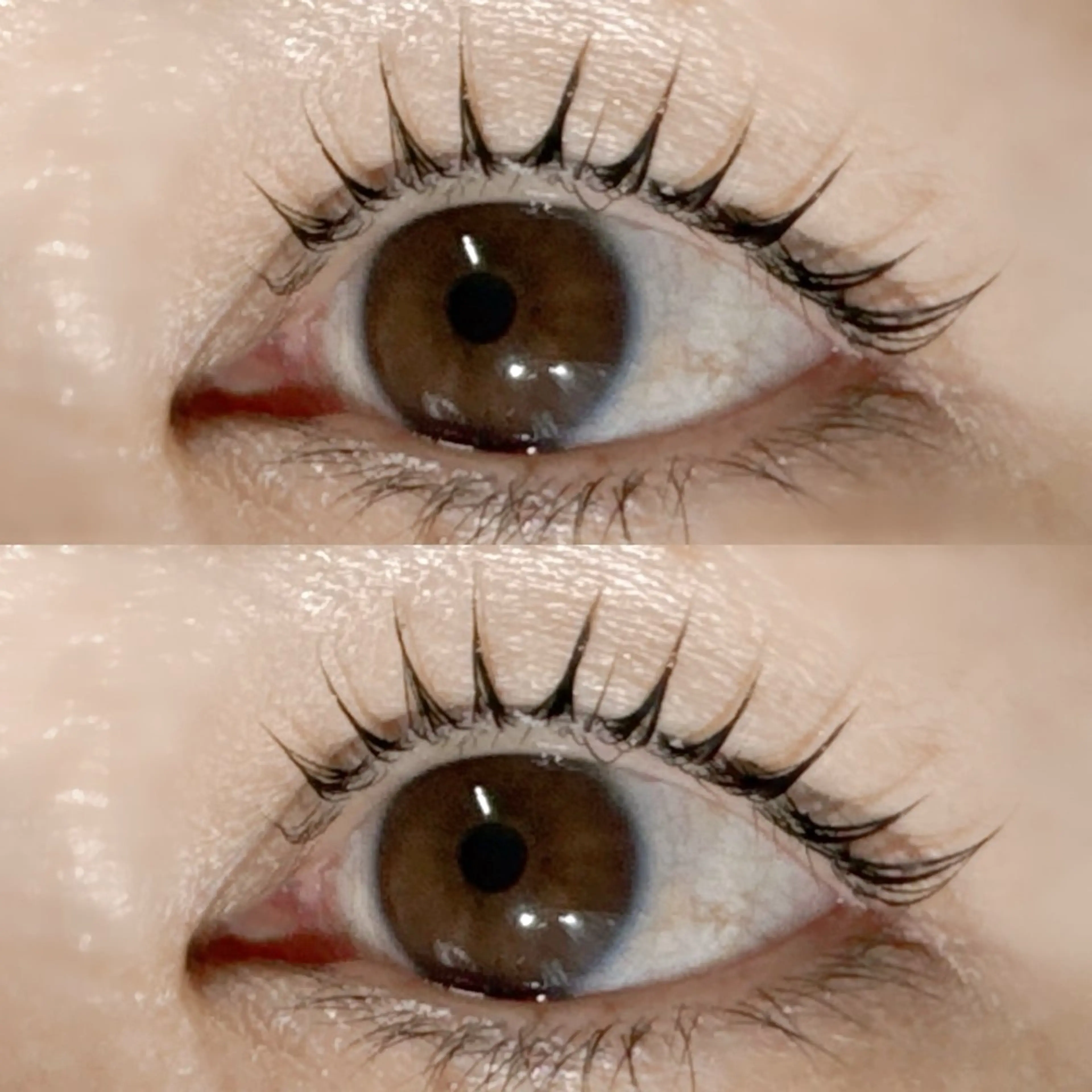 マツエク・マツパ LAUREL まつパ🌷Yuinaのマツエク・マツパデザイン