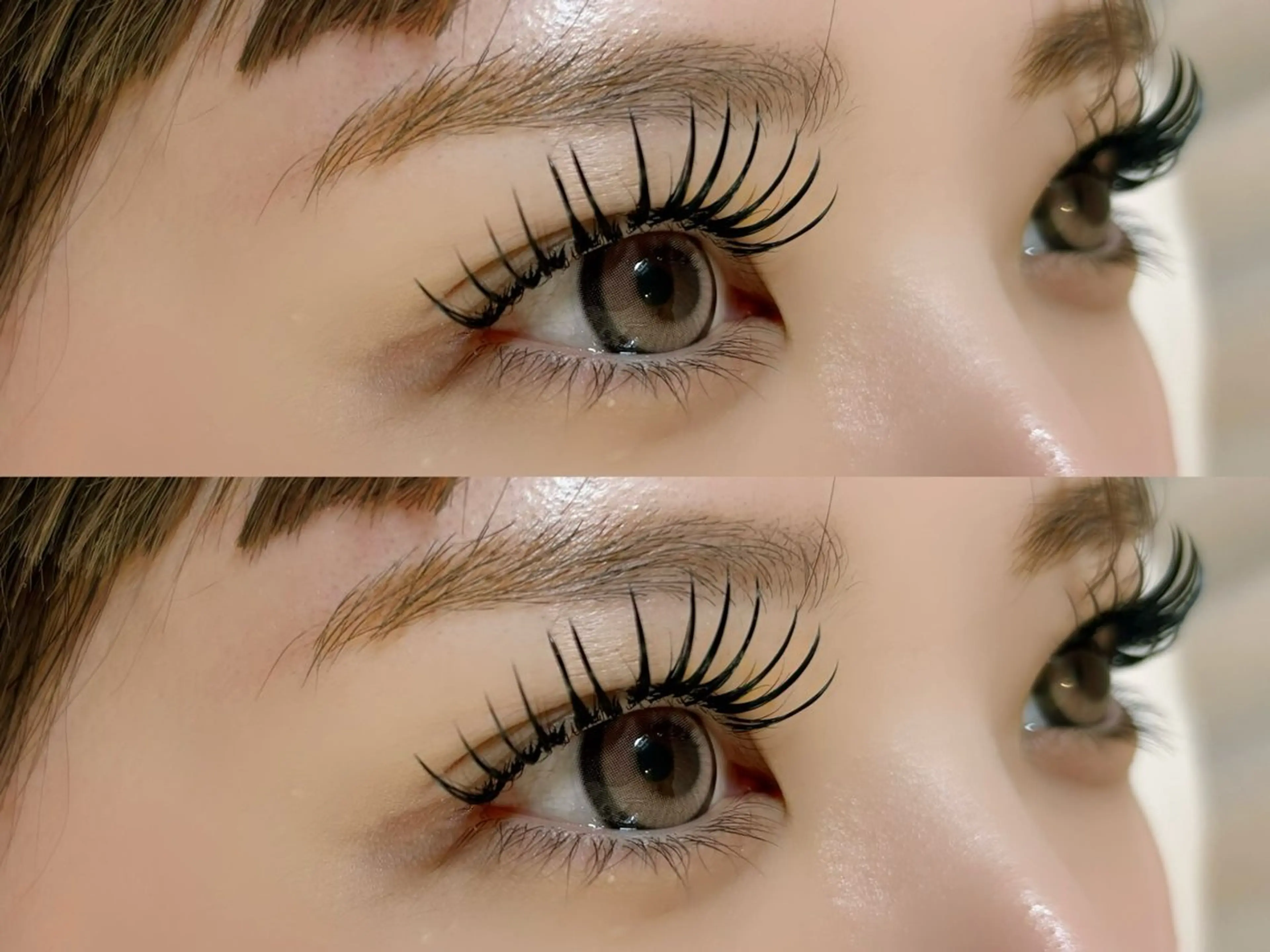 バインドロック120束の写真