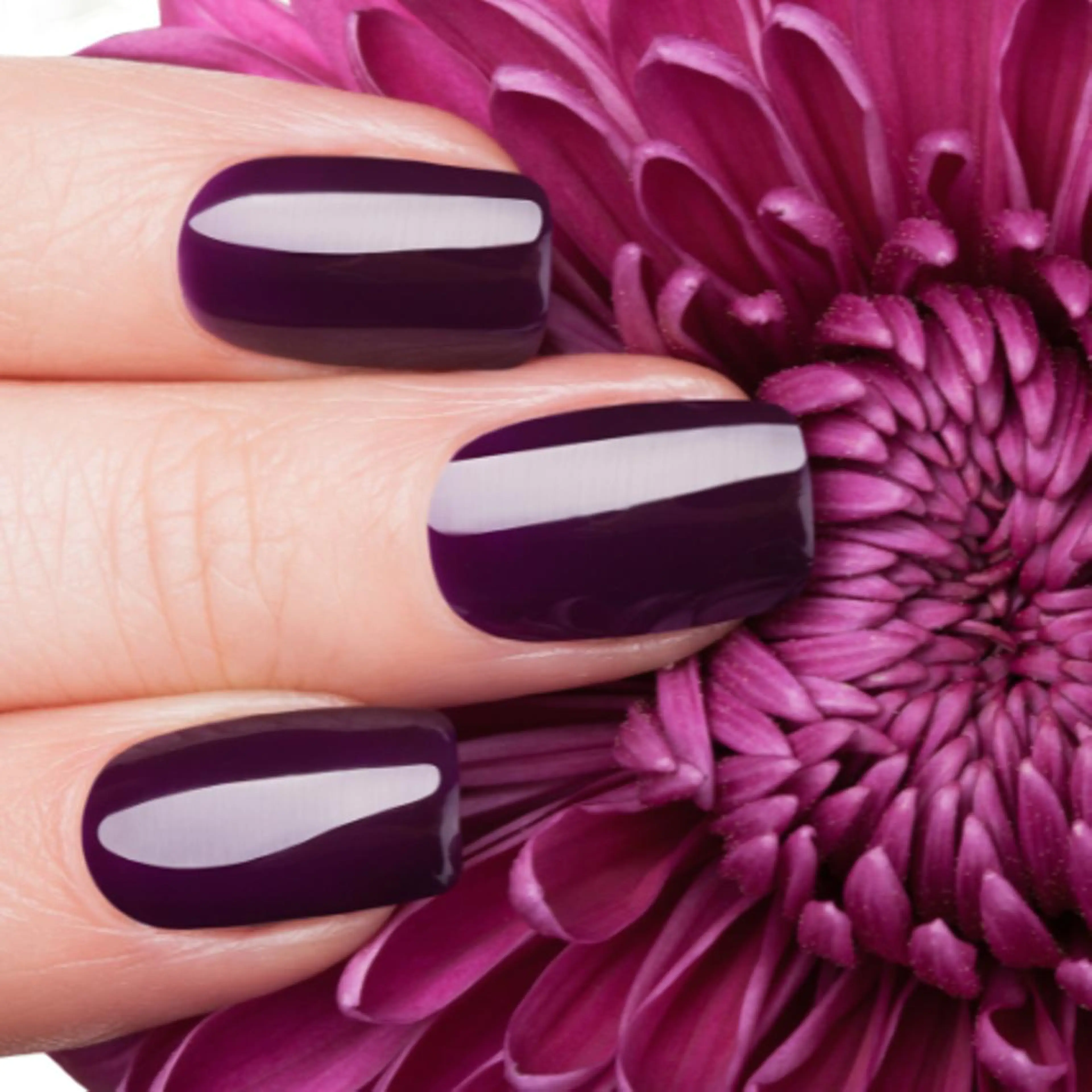 ネイル 【山岡】 ロイヤル•セラピストのネイルデザイン