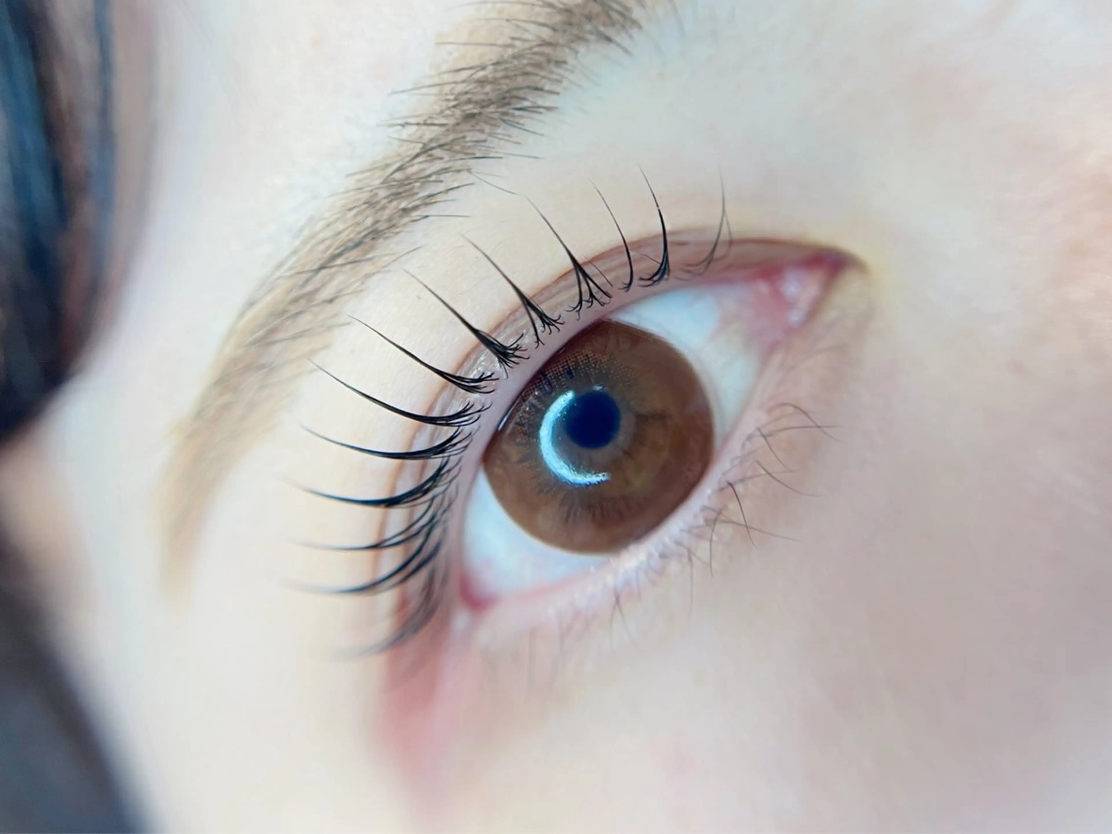 マツエク・マツパ 🌿垢抜けマツパ ×美眉🌙Yuiのマツエク・マツパデザイン