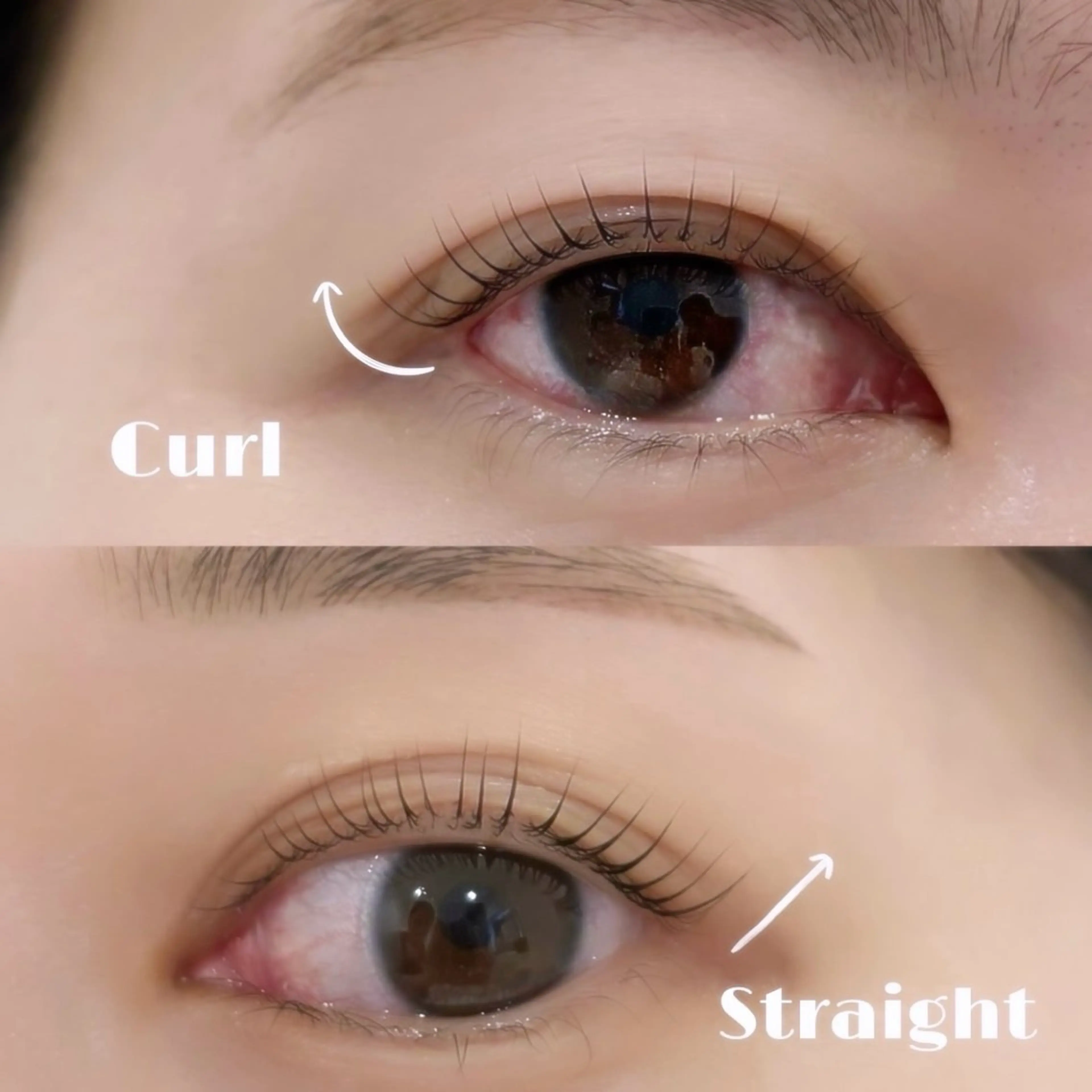 マツエク・マツパ マツパ LYRA 宮下 桃佳のマツエク・マツパデザイン