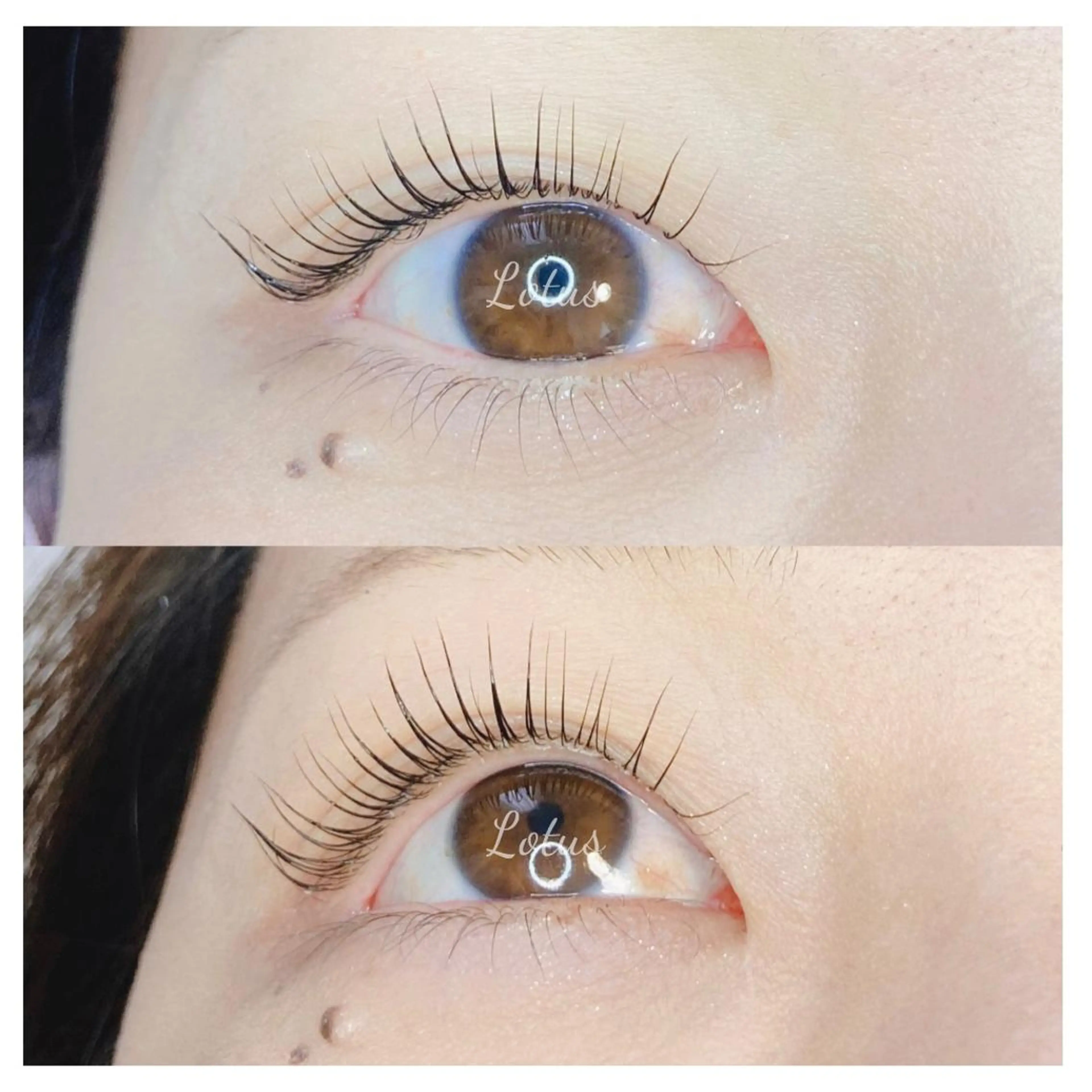 マツエク・マツパ マツパ Lotus所属・Lotus ロータスのマツエク・マツパデザイン