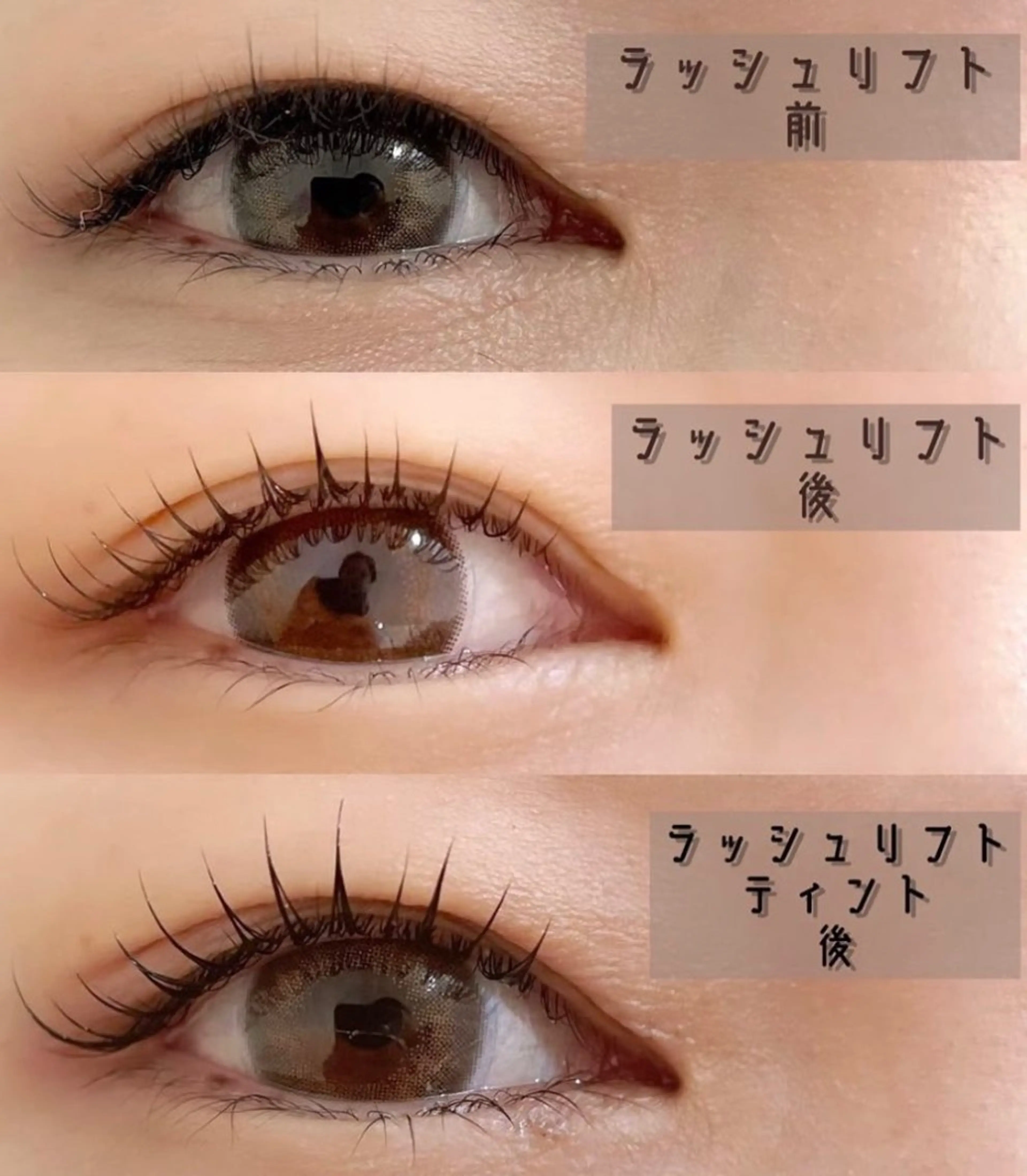 大人気！韓国発マスカラパーマ　まるでマスカラ！ブラックティントで黒々まつ毛♡ケラチントリートメントでまつ毛を修復の写真