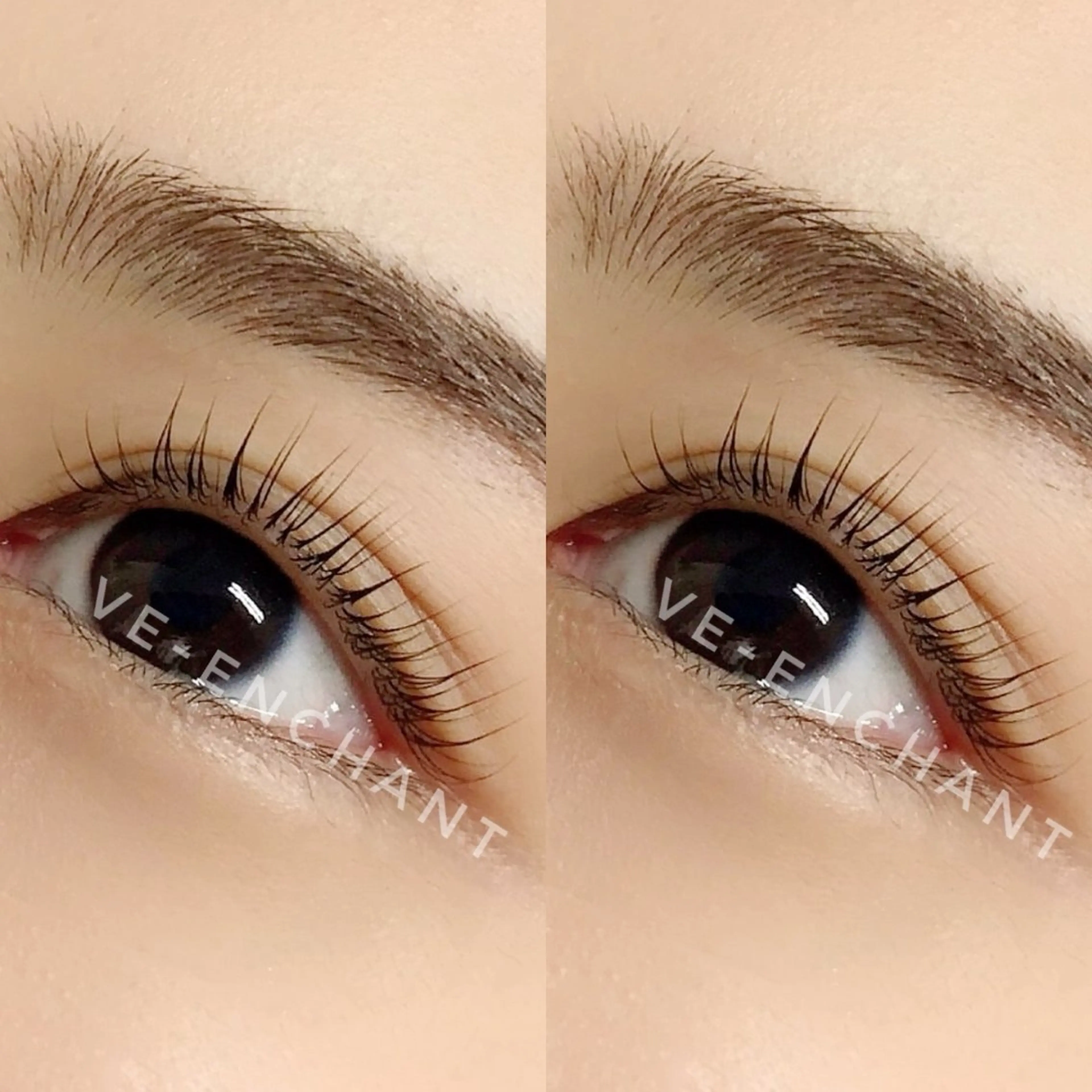 パリジェンヌラッシュリフト 《ミニモ学割・学生以外も使用可✨》の写真